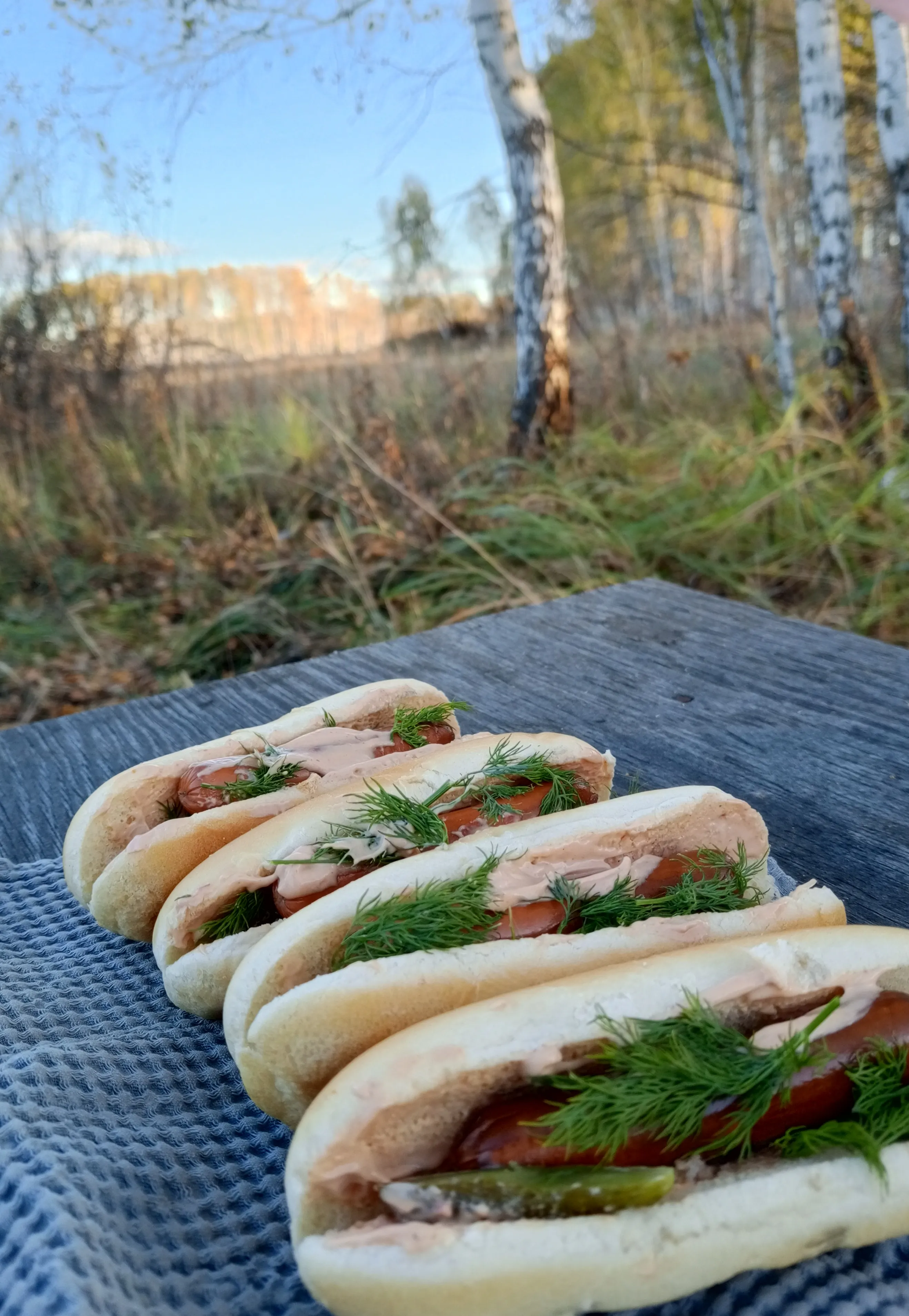 Пикник в лесу