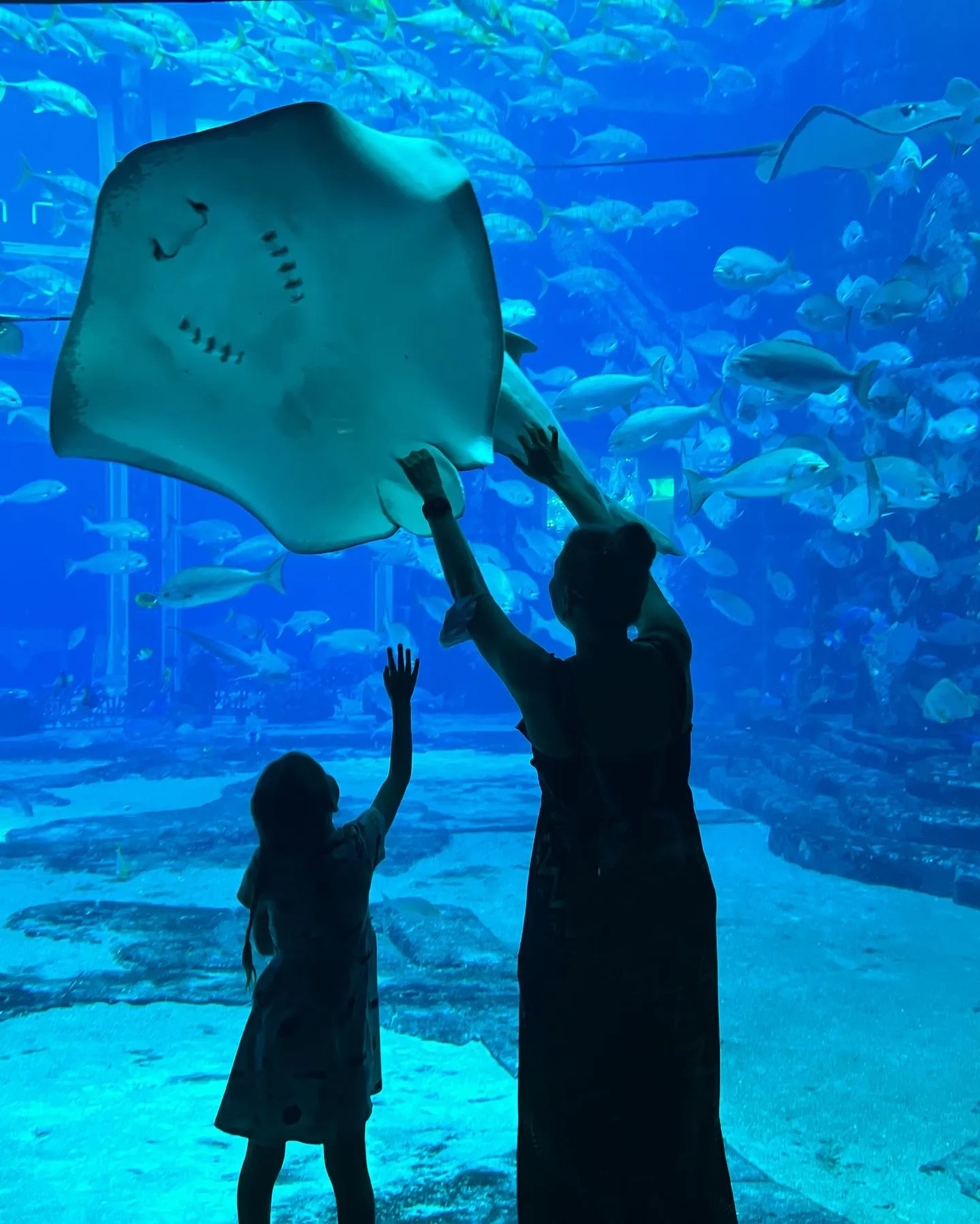 Кому-то летать, а кому-то ползать..