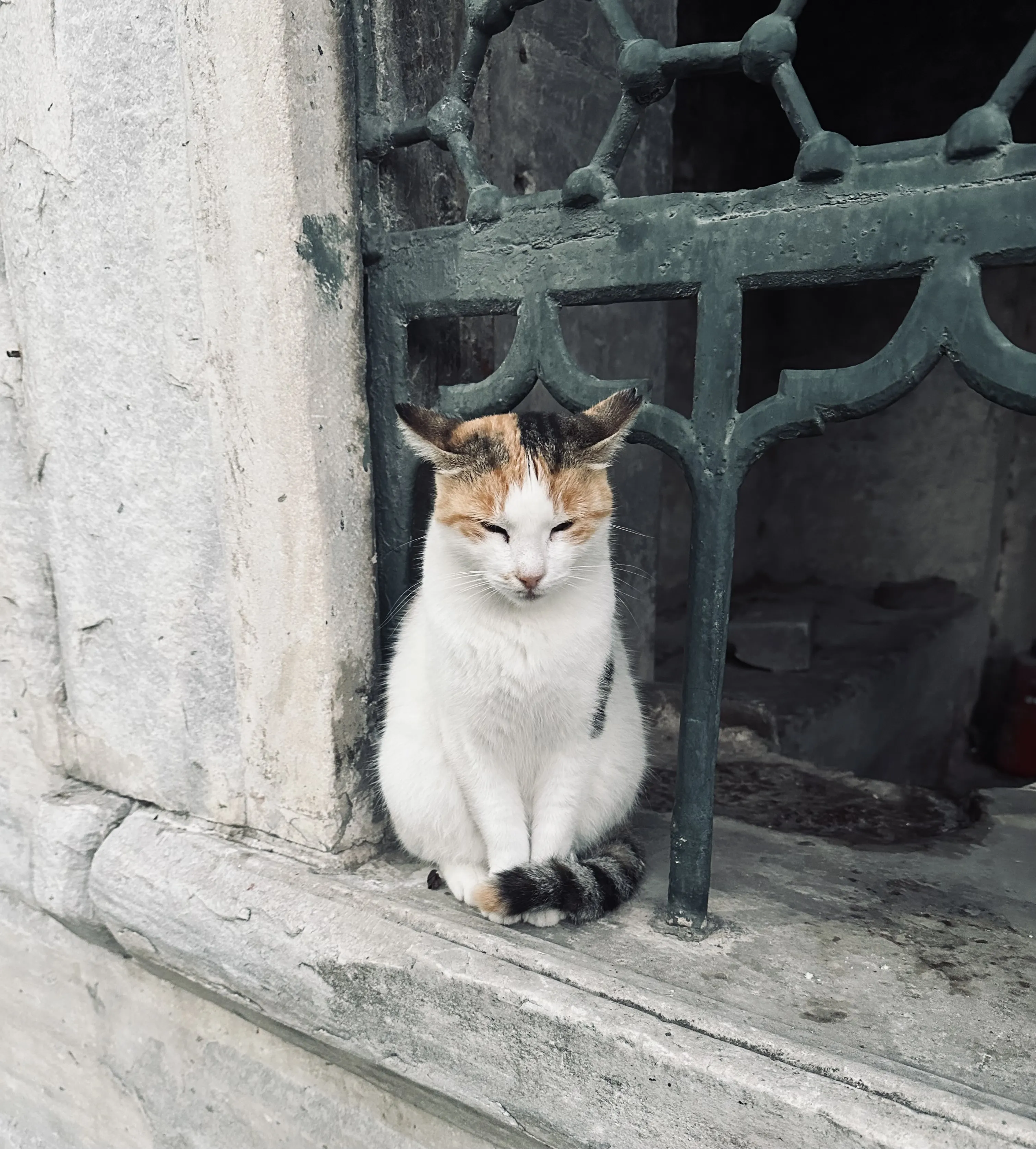 Гордое одиночество