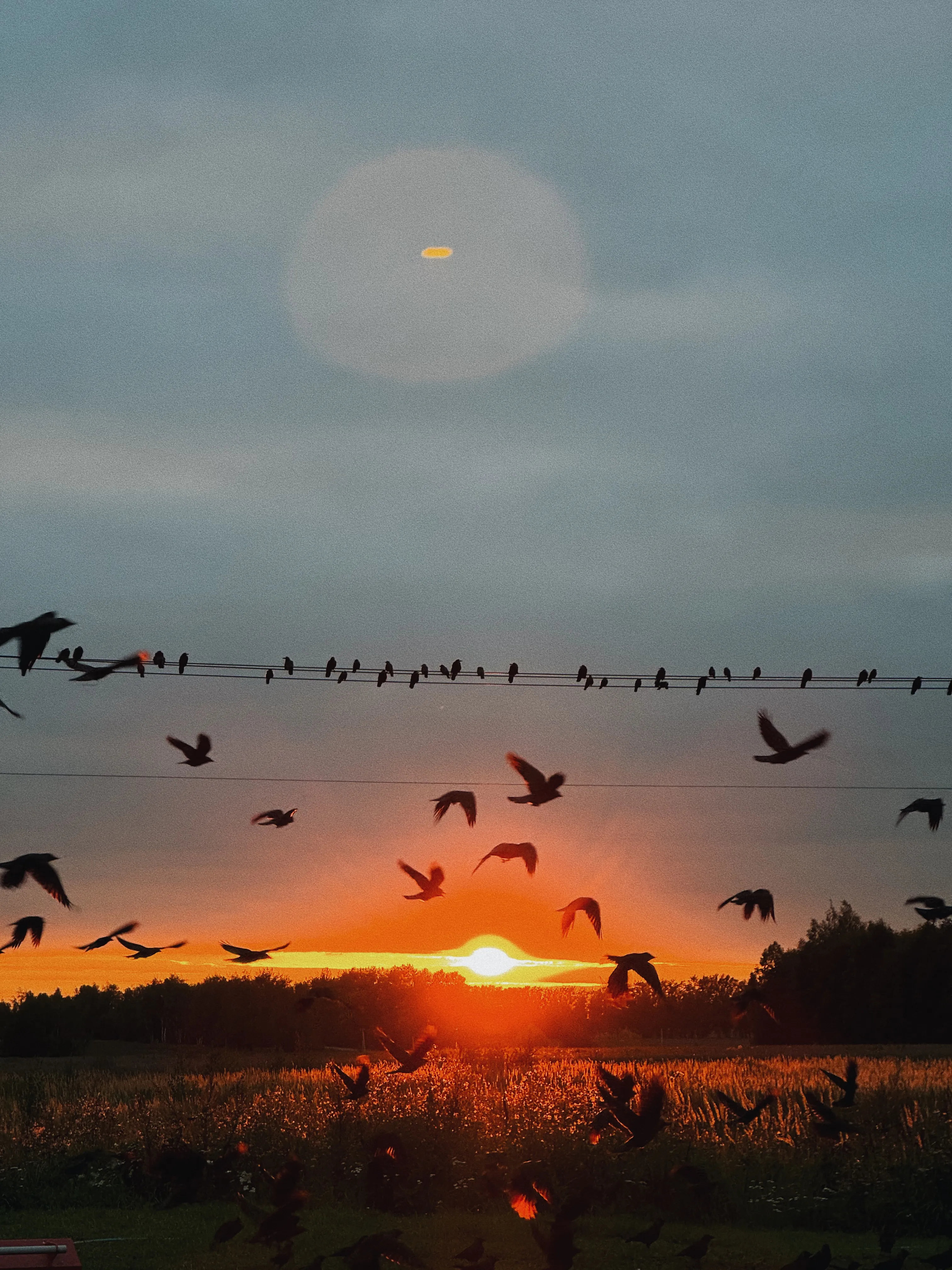 Всполыхнулось