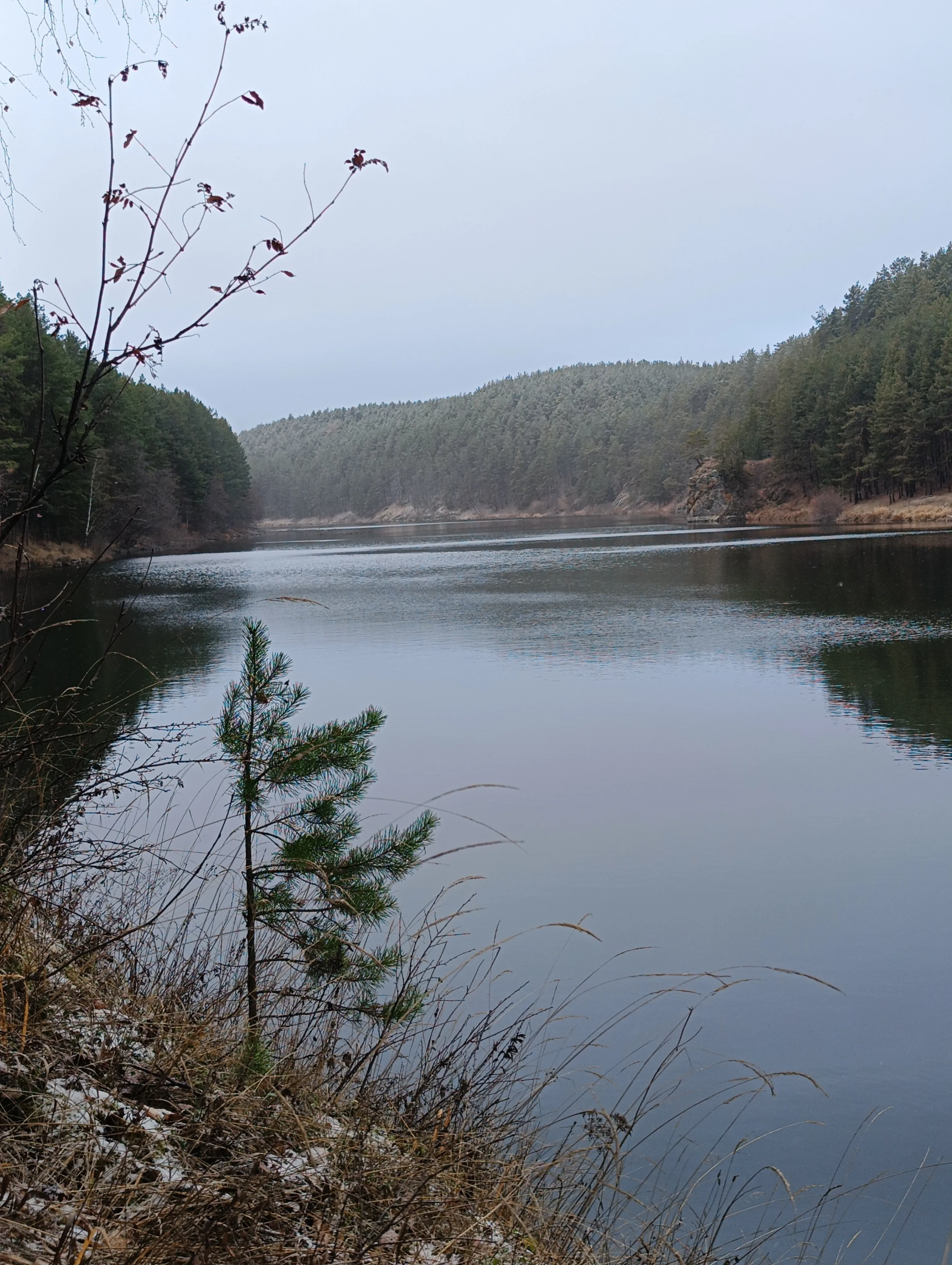 Лесное зазеркалье