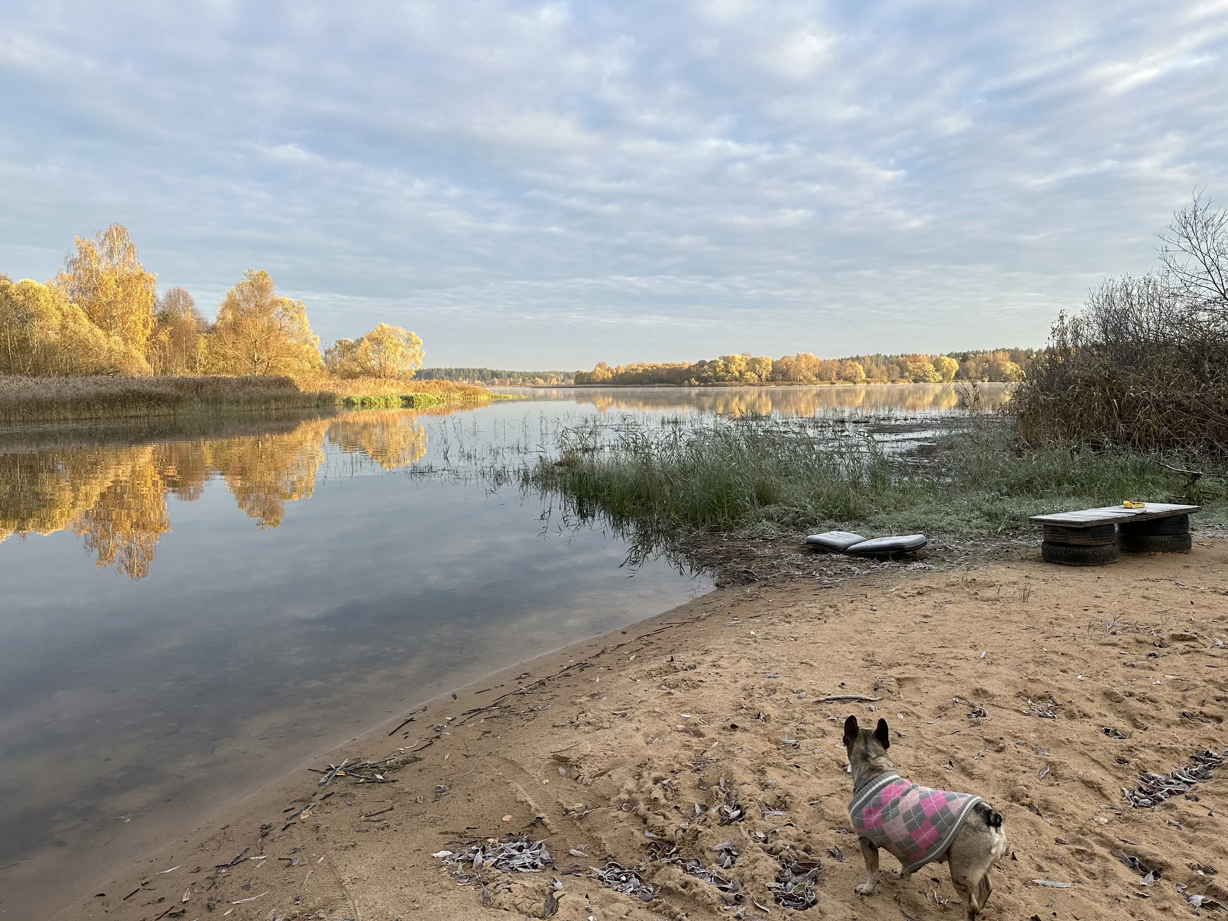 Куда улетели утки?