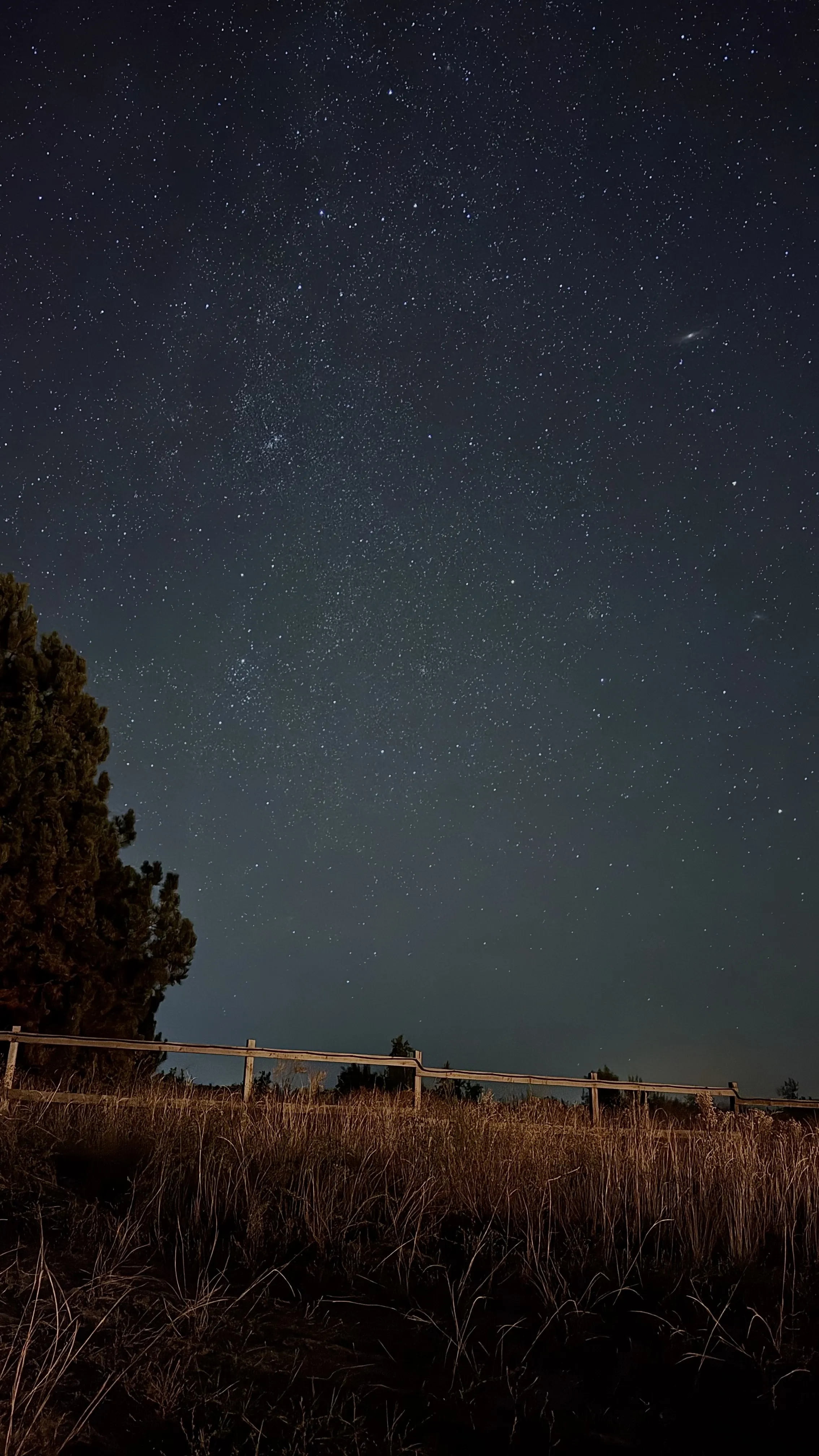 Звездное небо