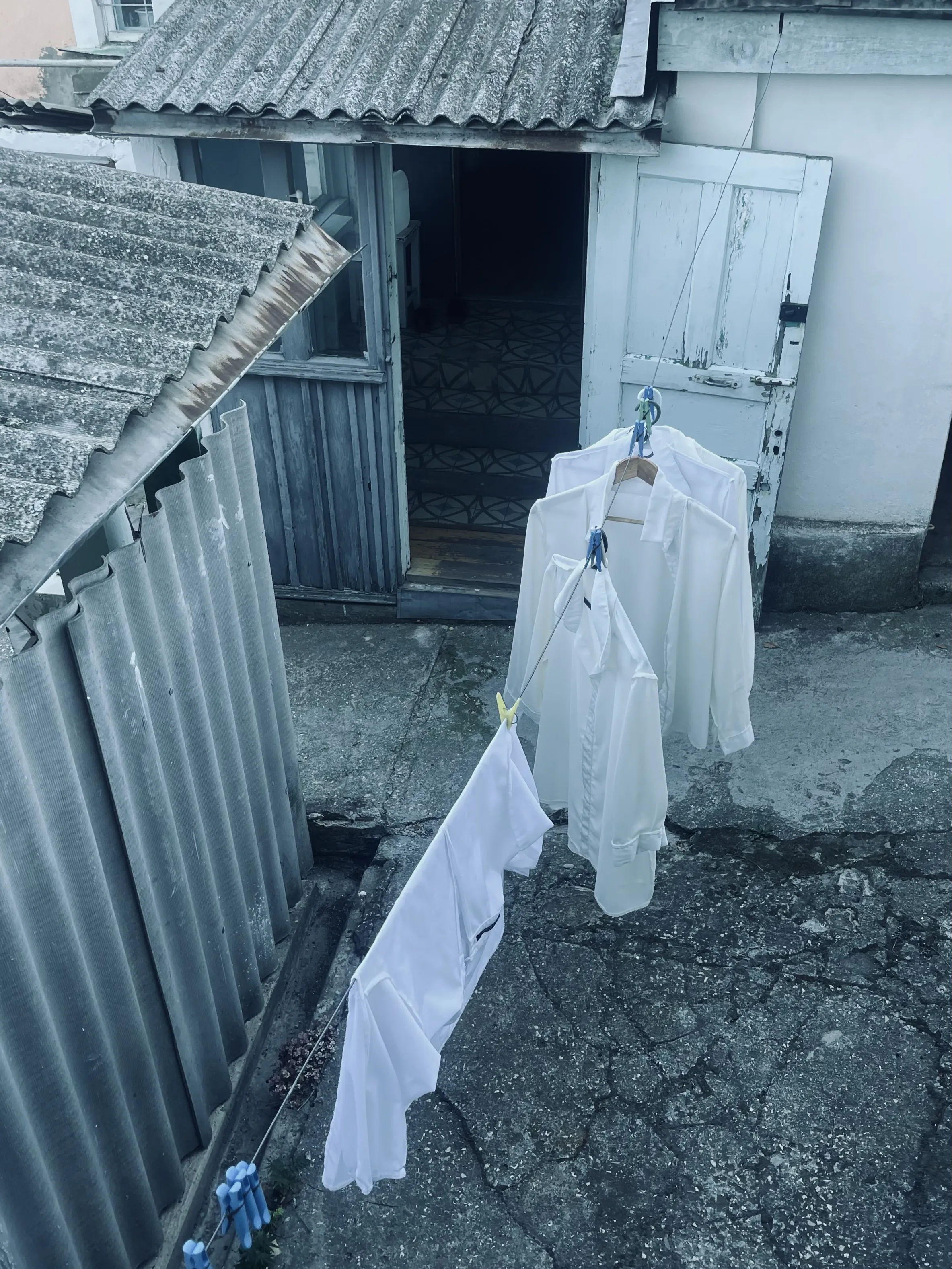 Белые воротнички