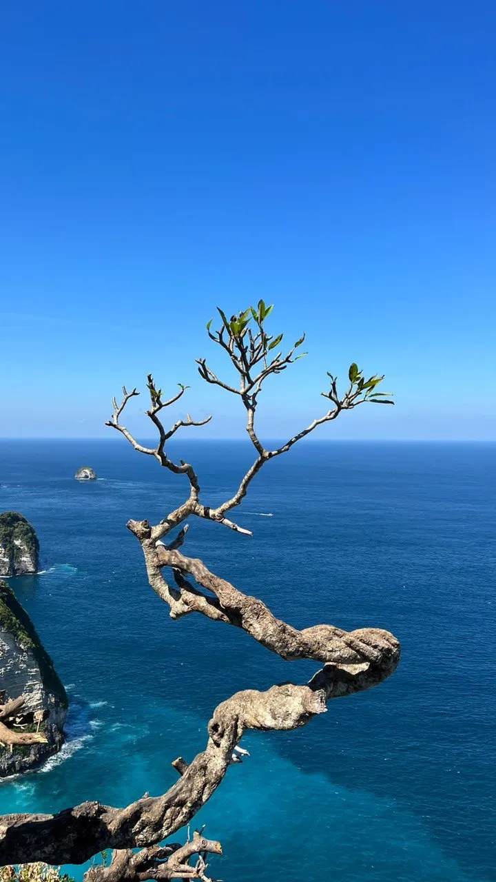 У истока стихий