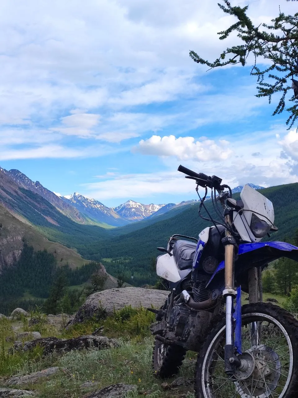 "Красоты тайги"