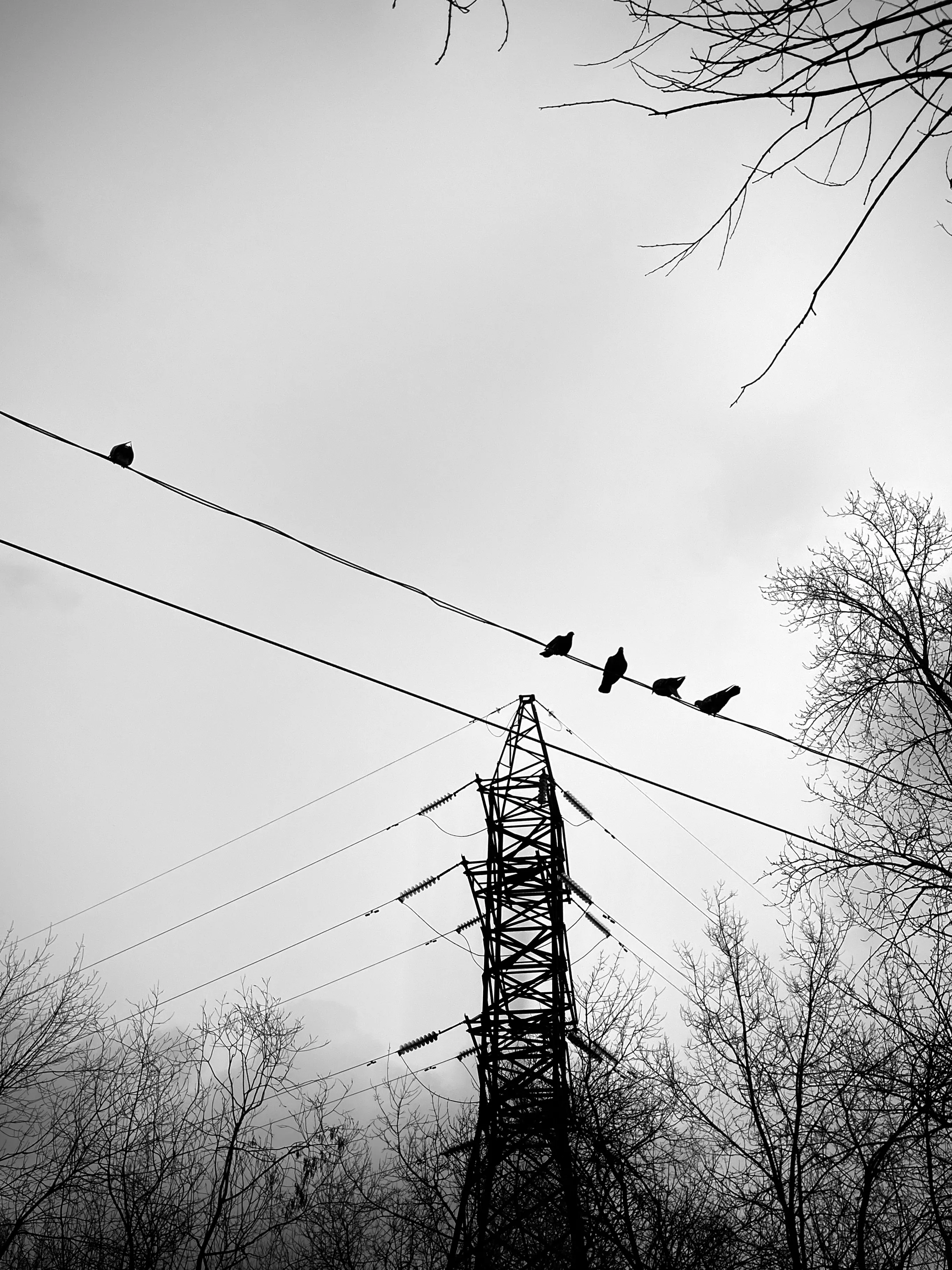 Безмятежность