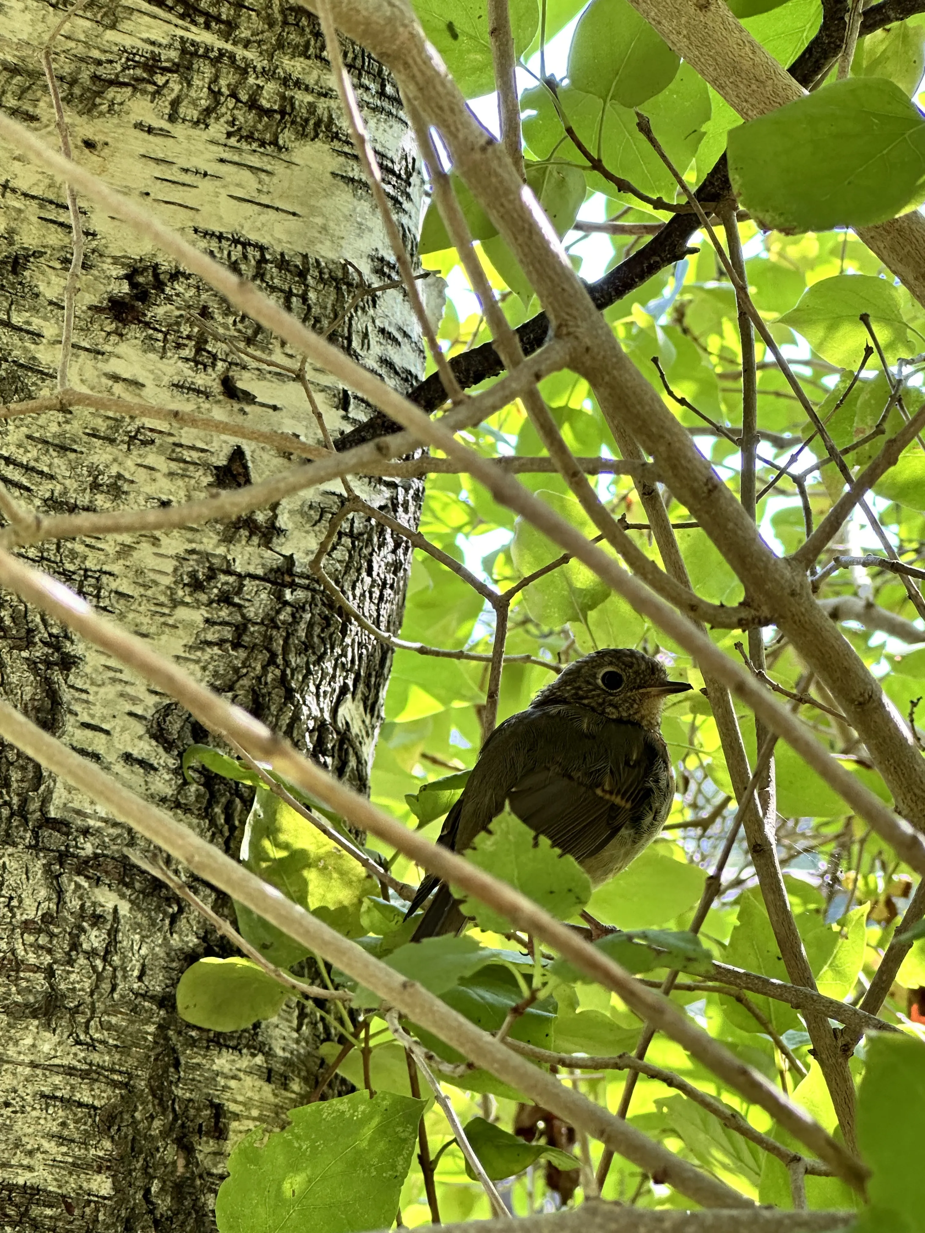 «Диалог взглядов»
