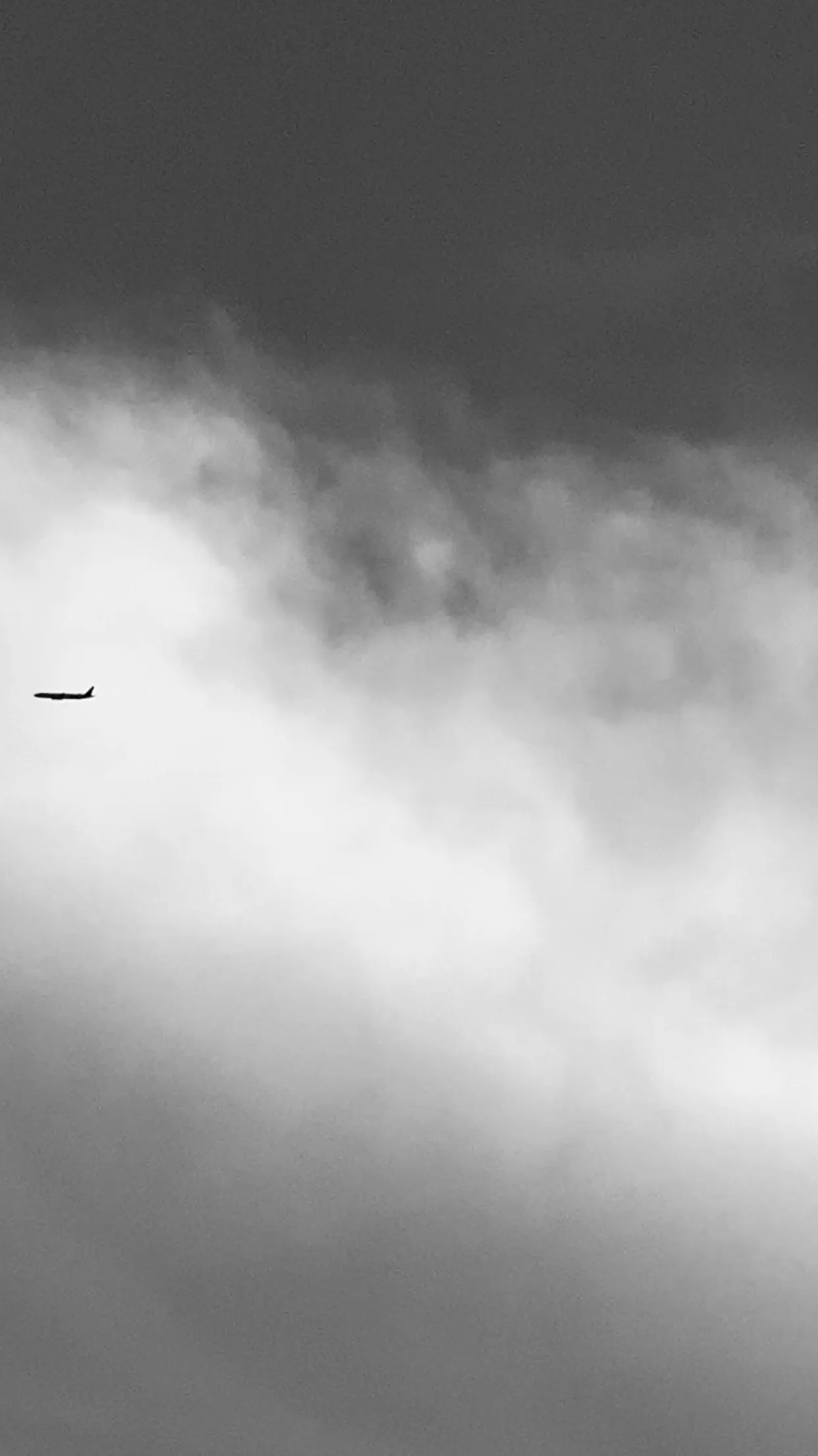 Нарисованный ветром