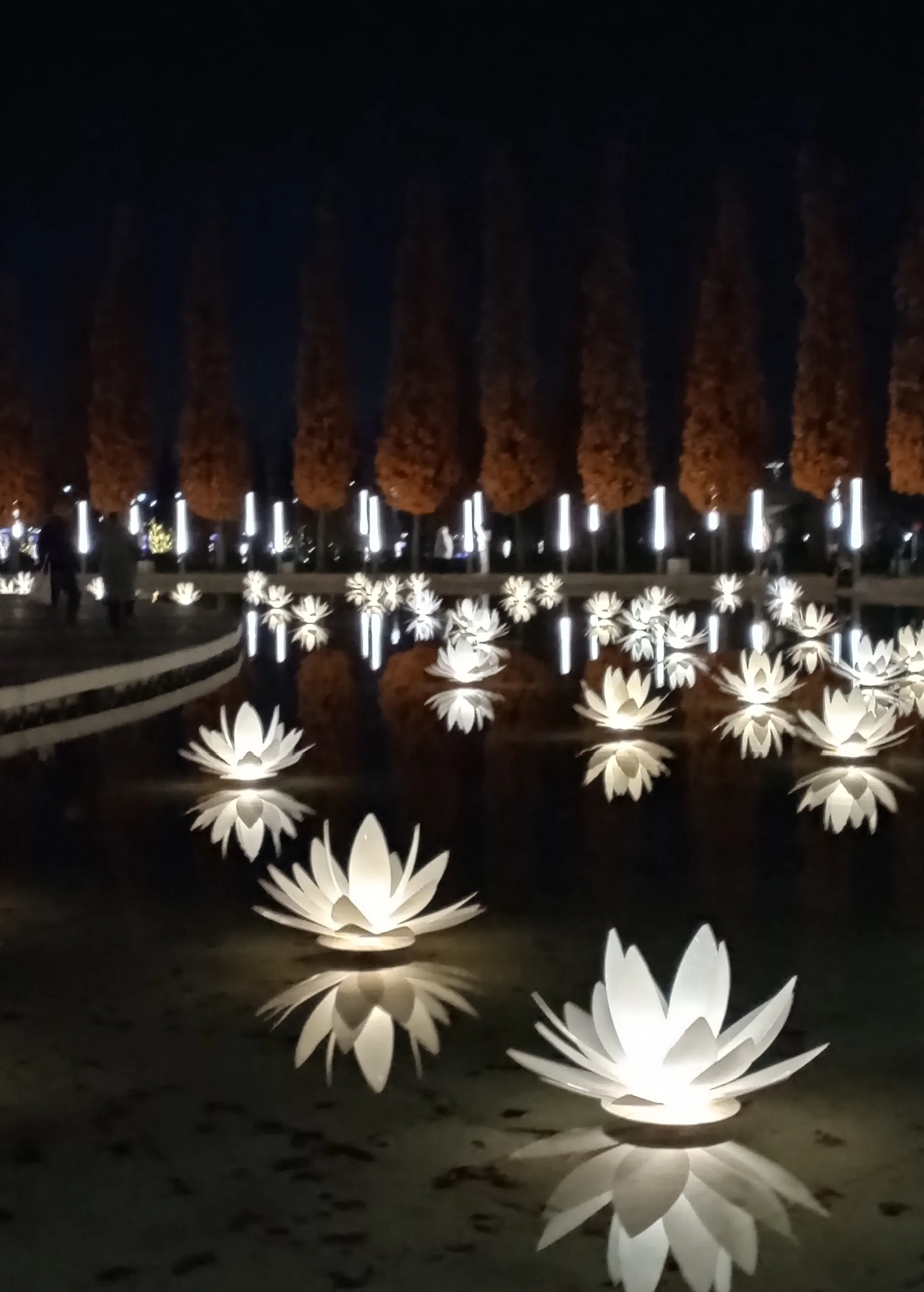 На водной глади