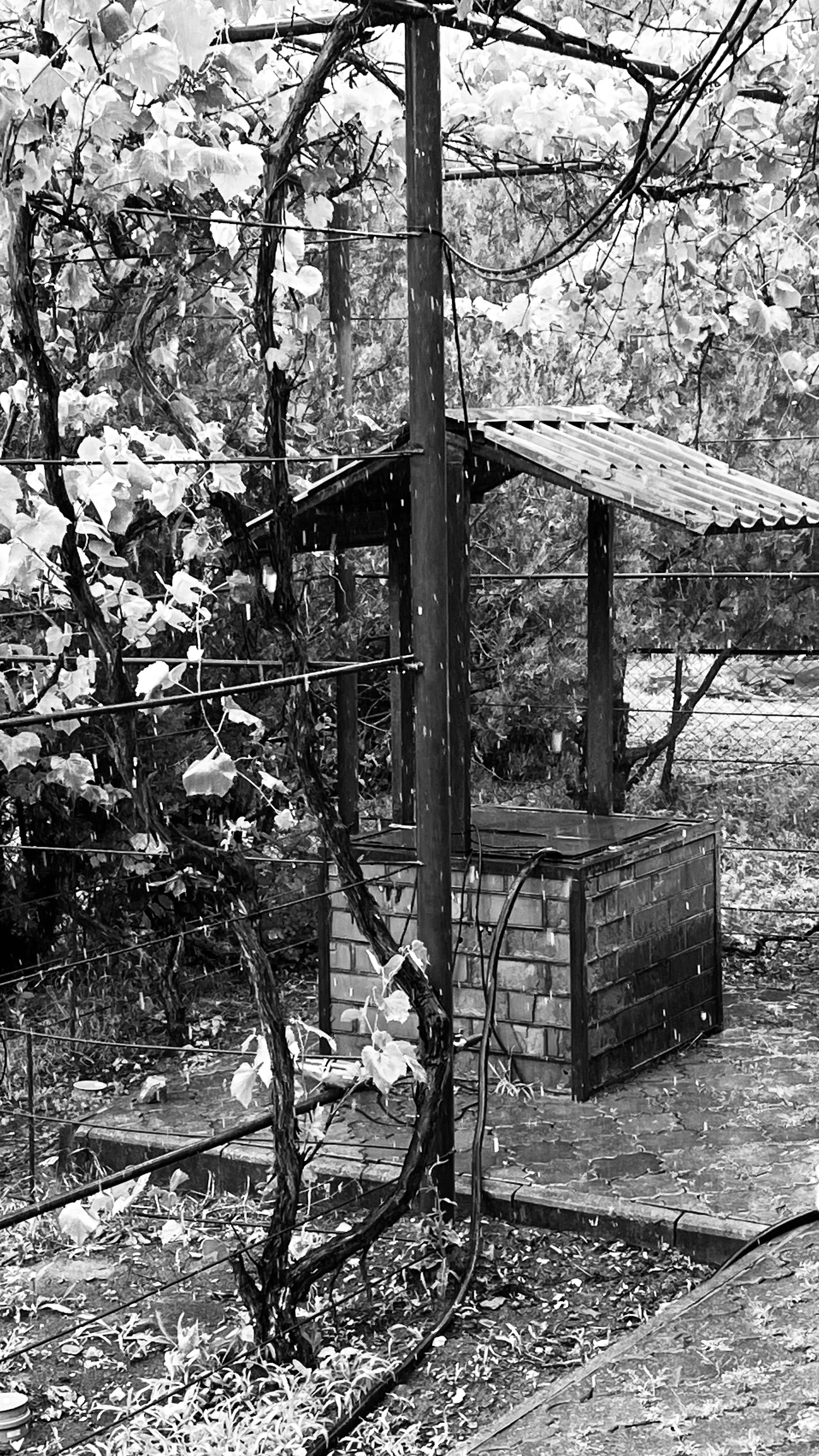 Дождь, колодец, монохром