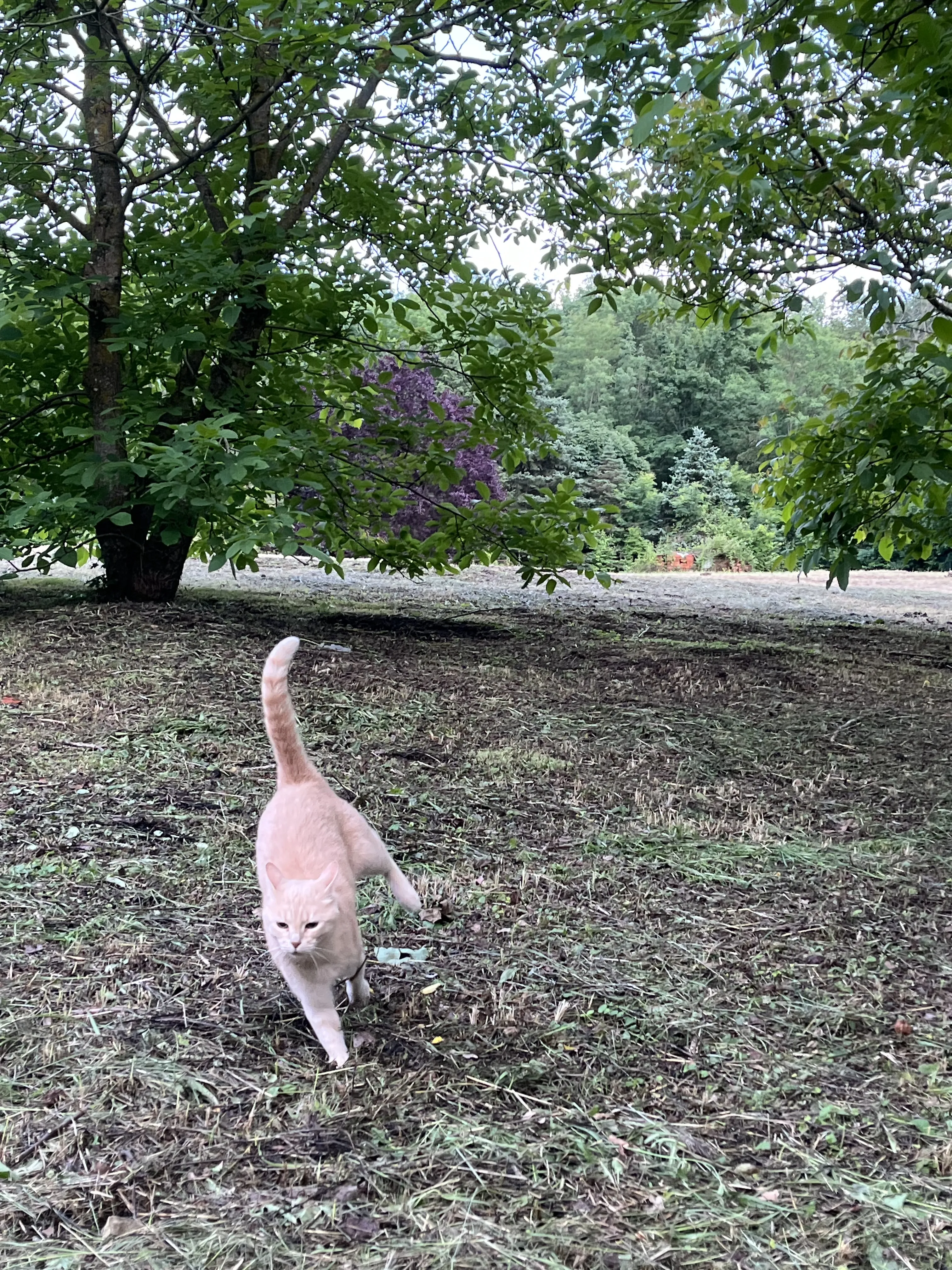 Крутой вираж