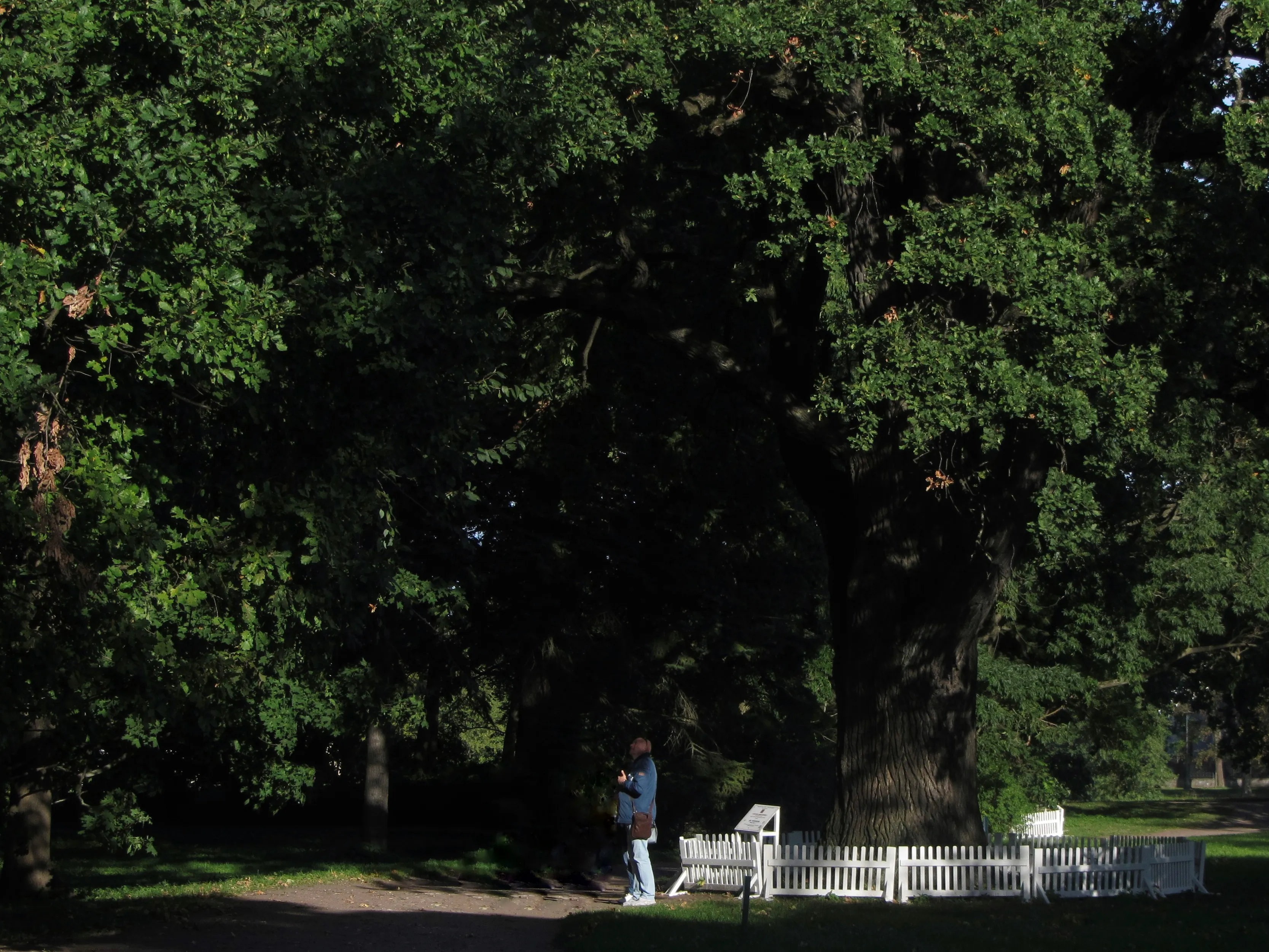 Четыреста лет над головой