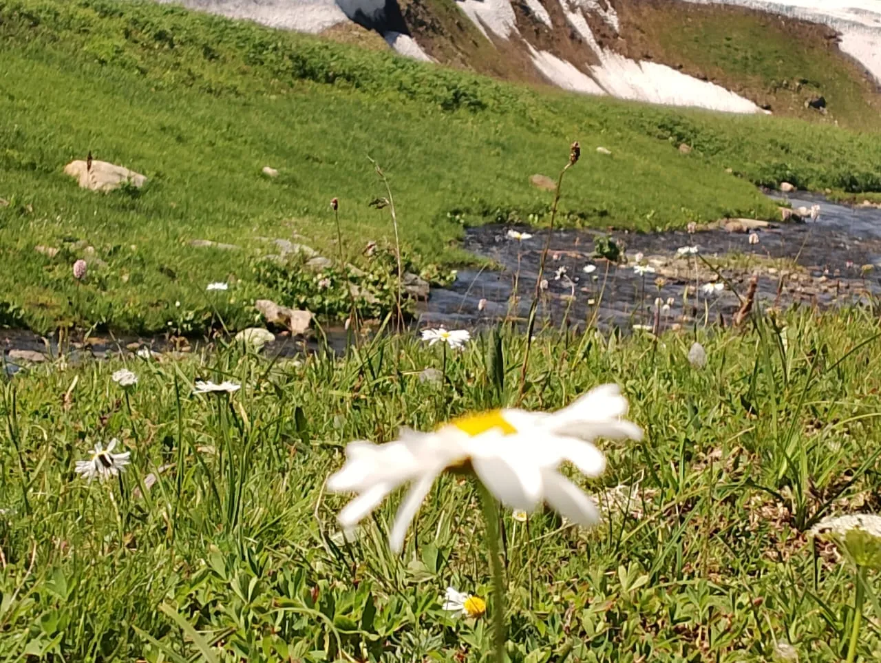 Прекрасный Алтай