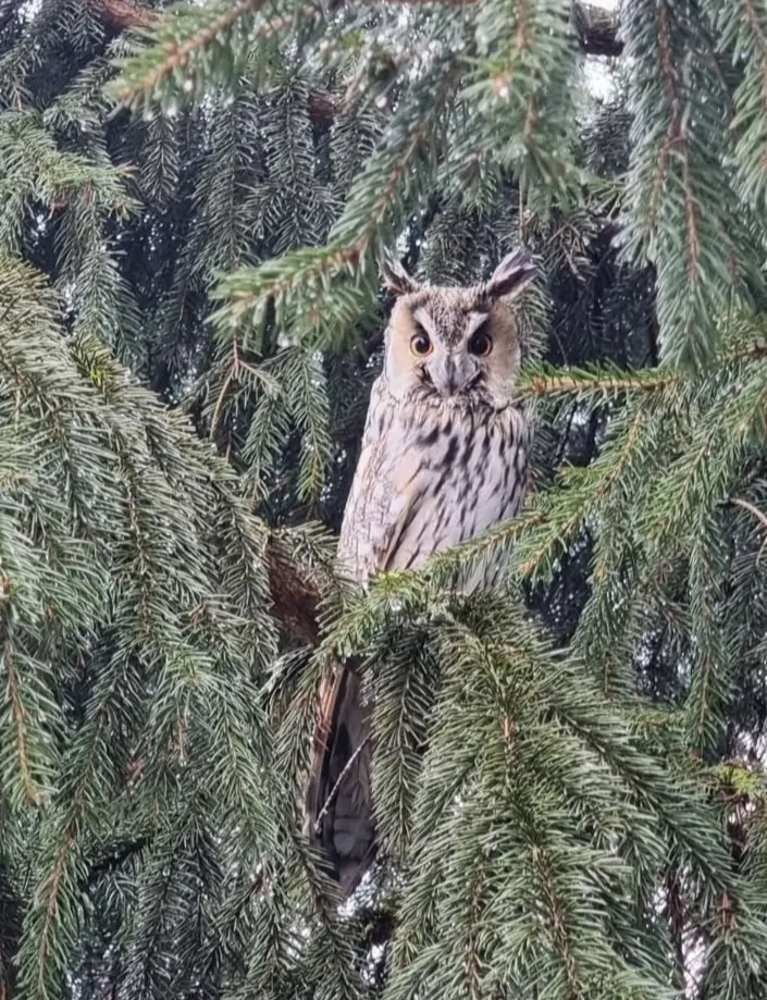 Мудрая природа.