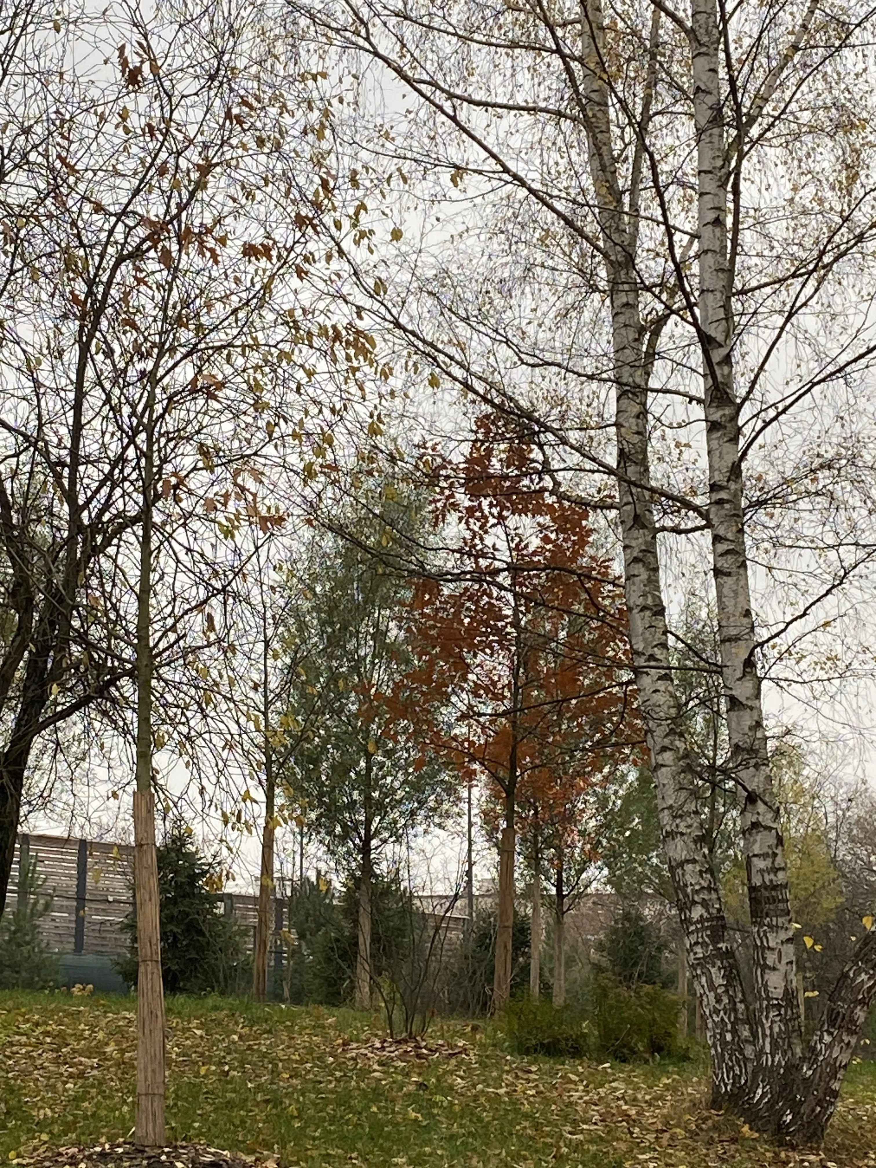 На границе перехода