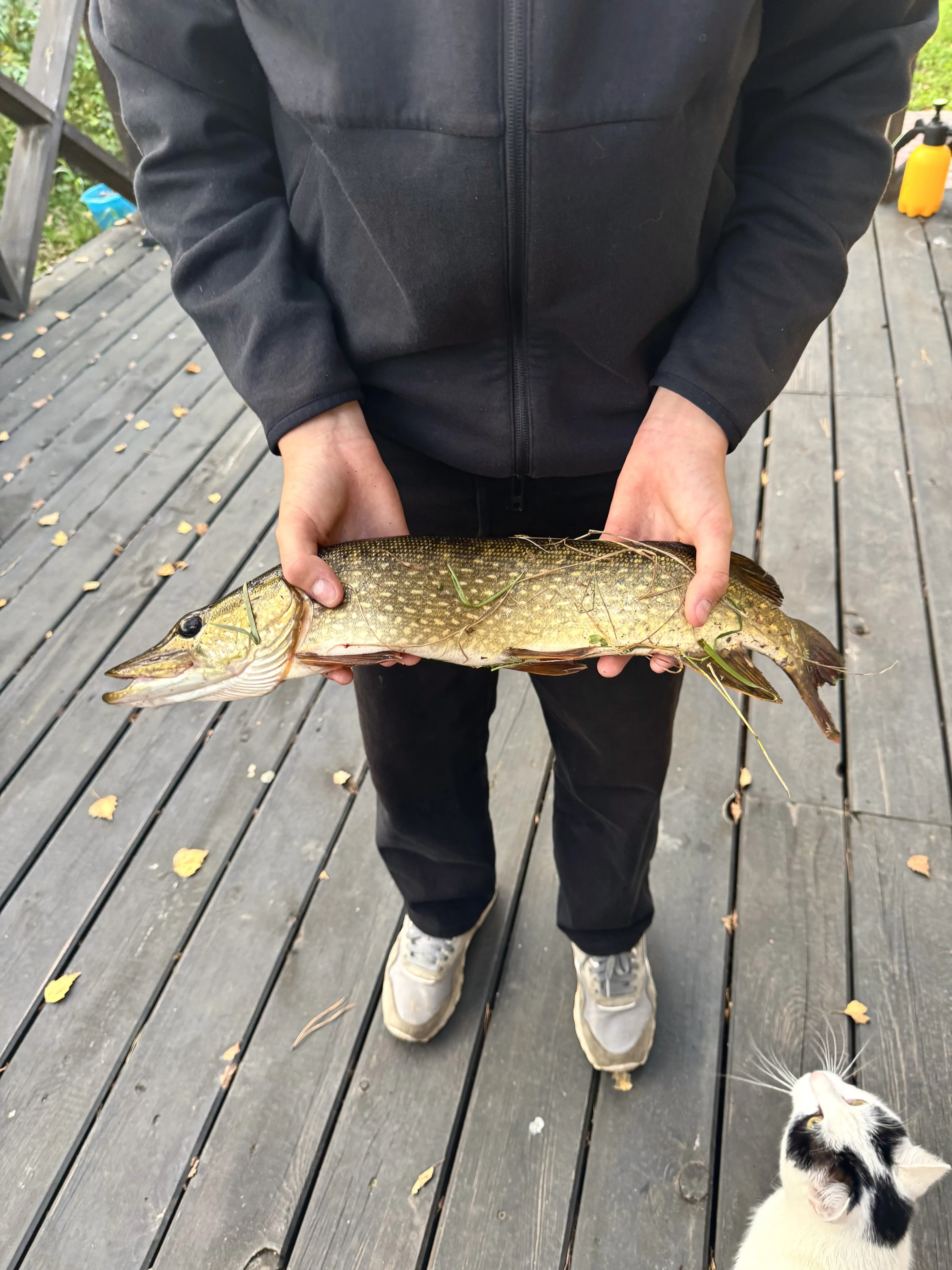 Долгожданный улов