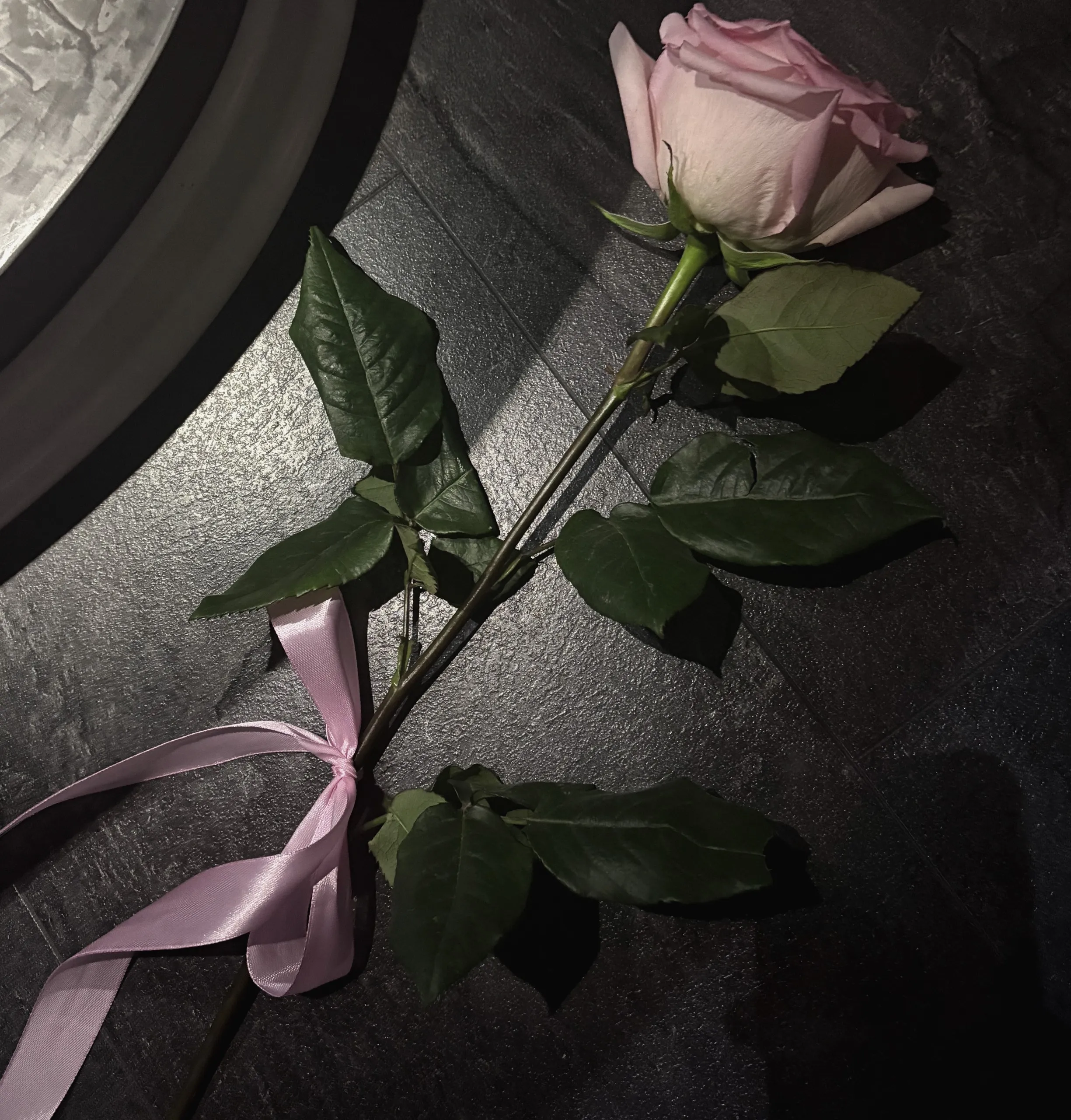 нежность во мраке