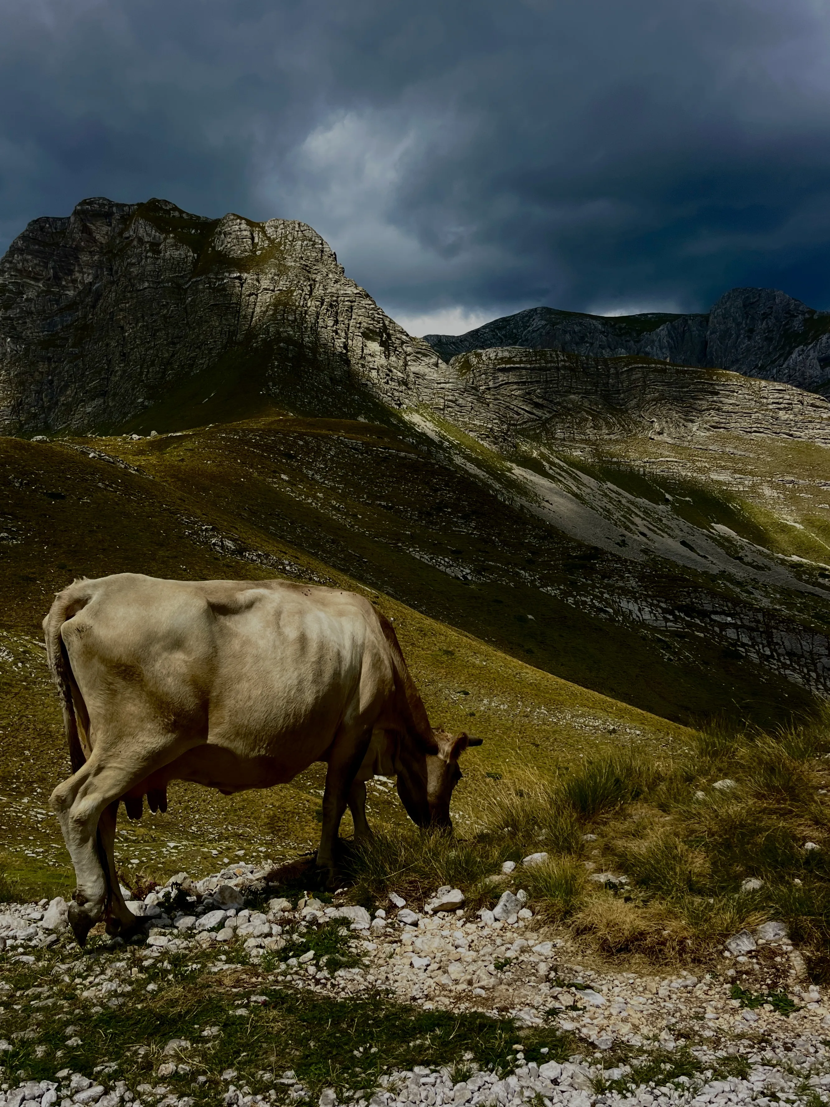 Между небом и землей