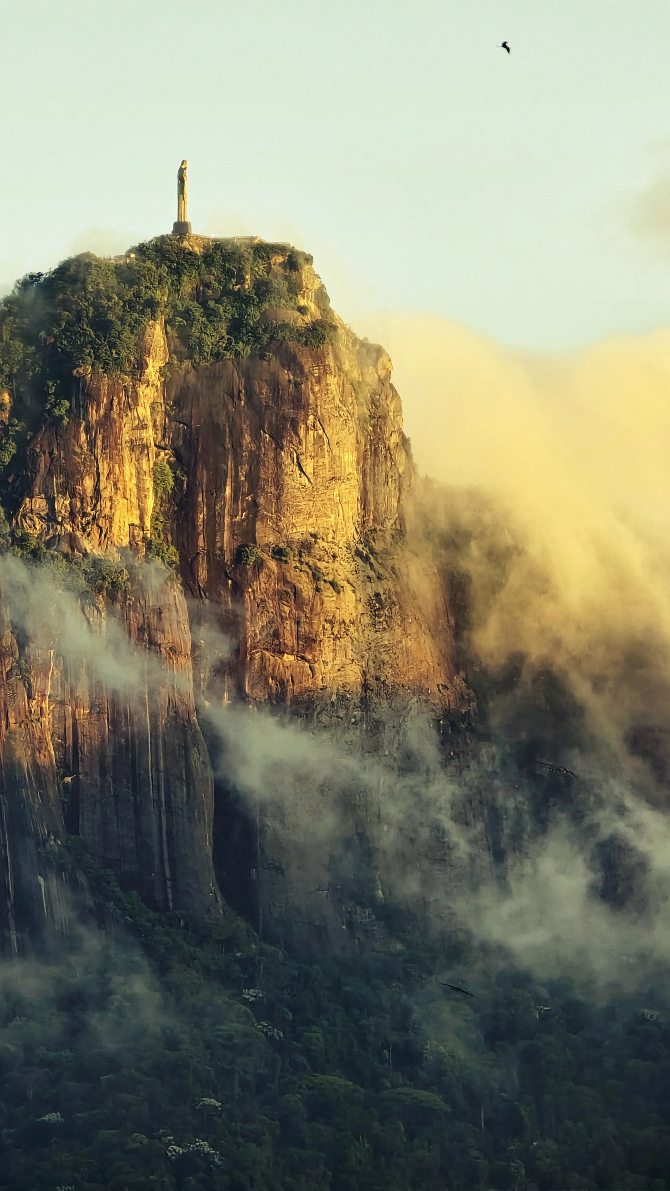 Цвет умиротворения