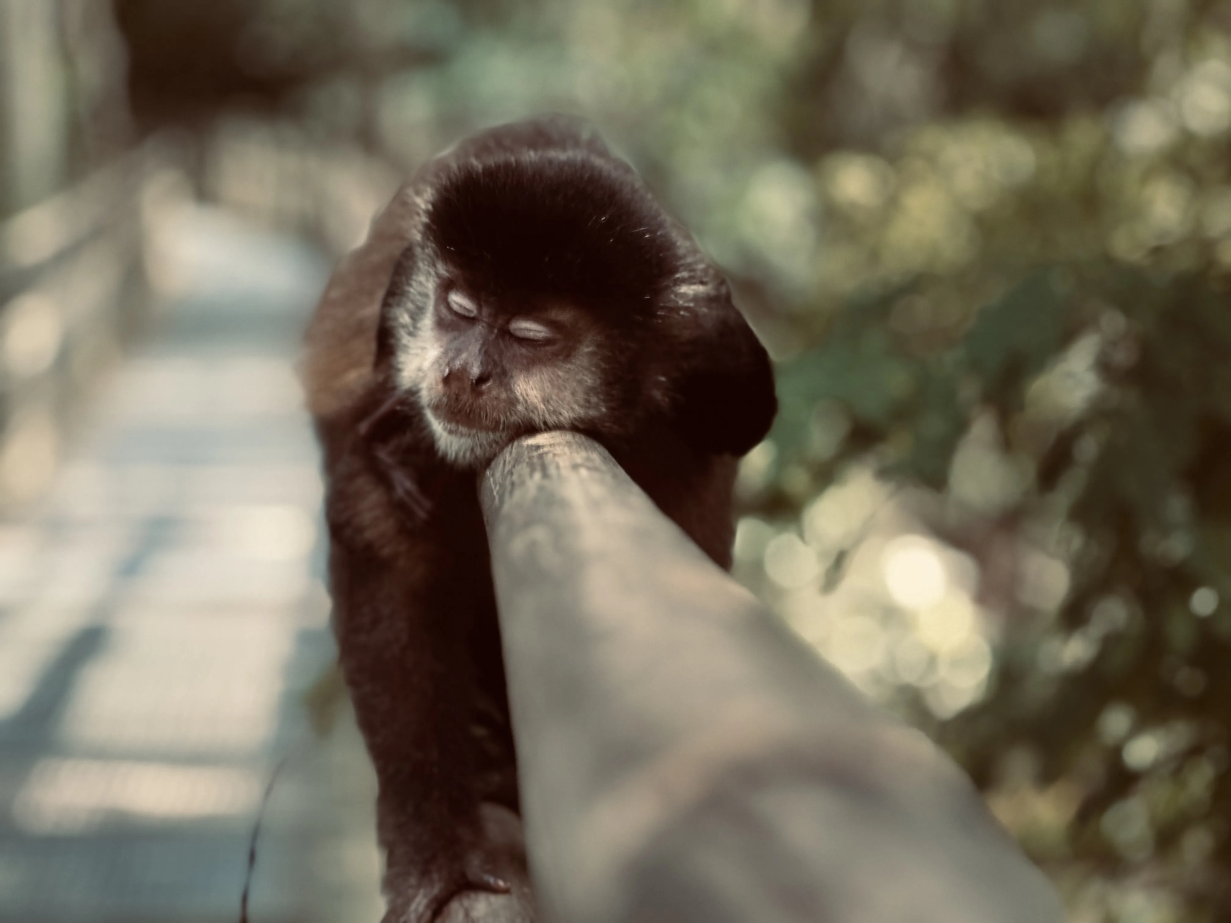 После сытного обеда...