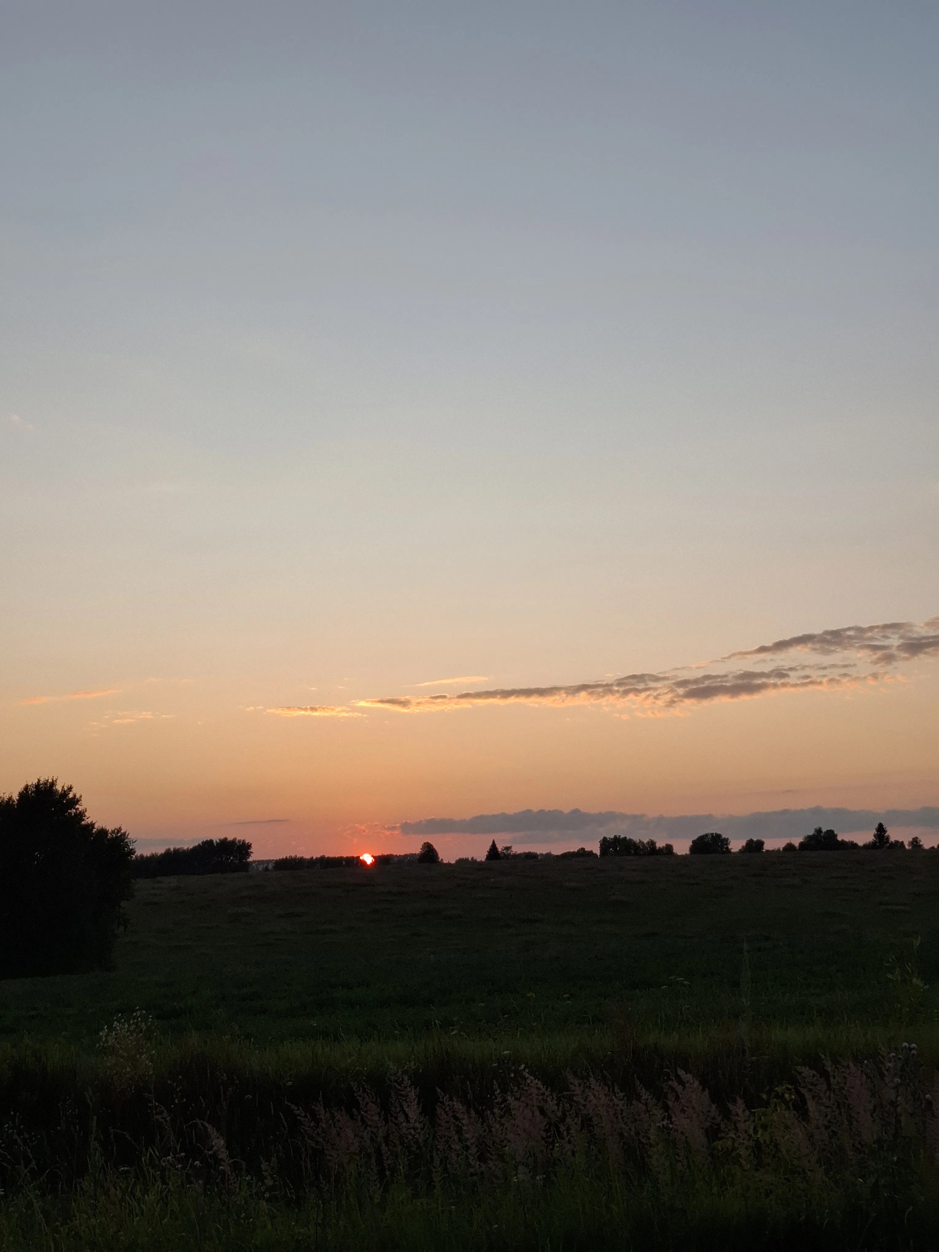 Русские поля