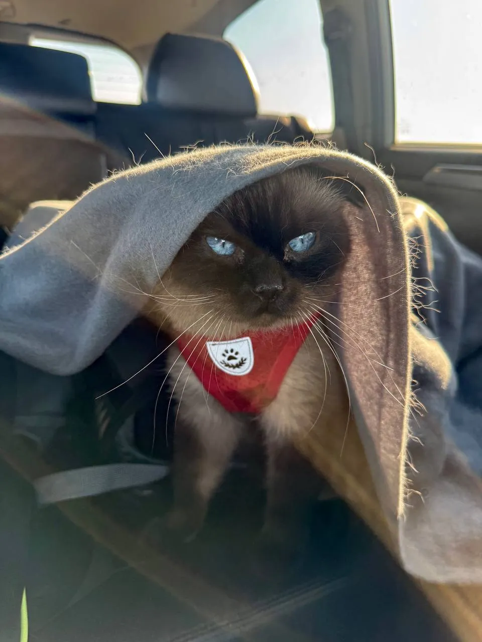 Утро понедельника