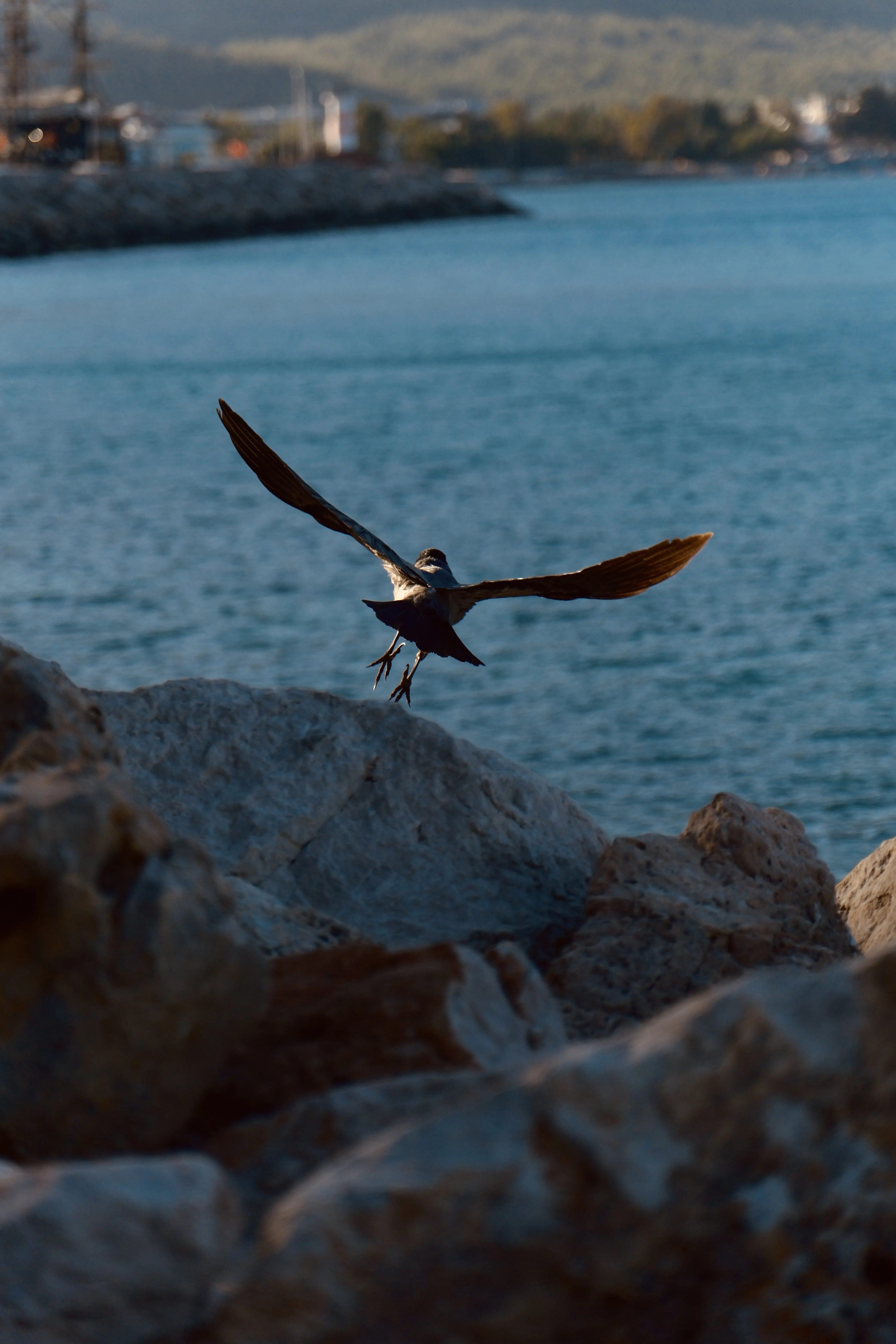 Взлет с камня