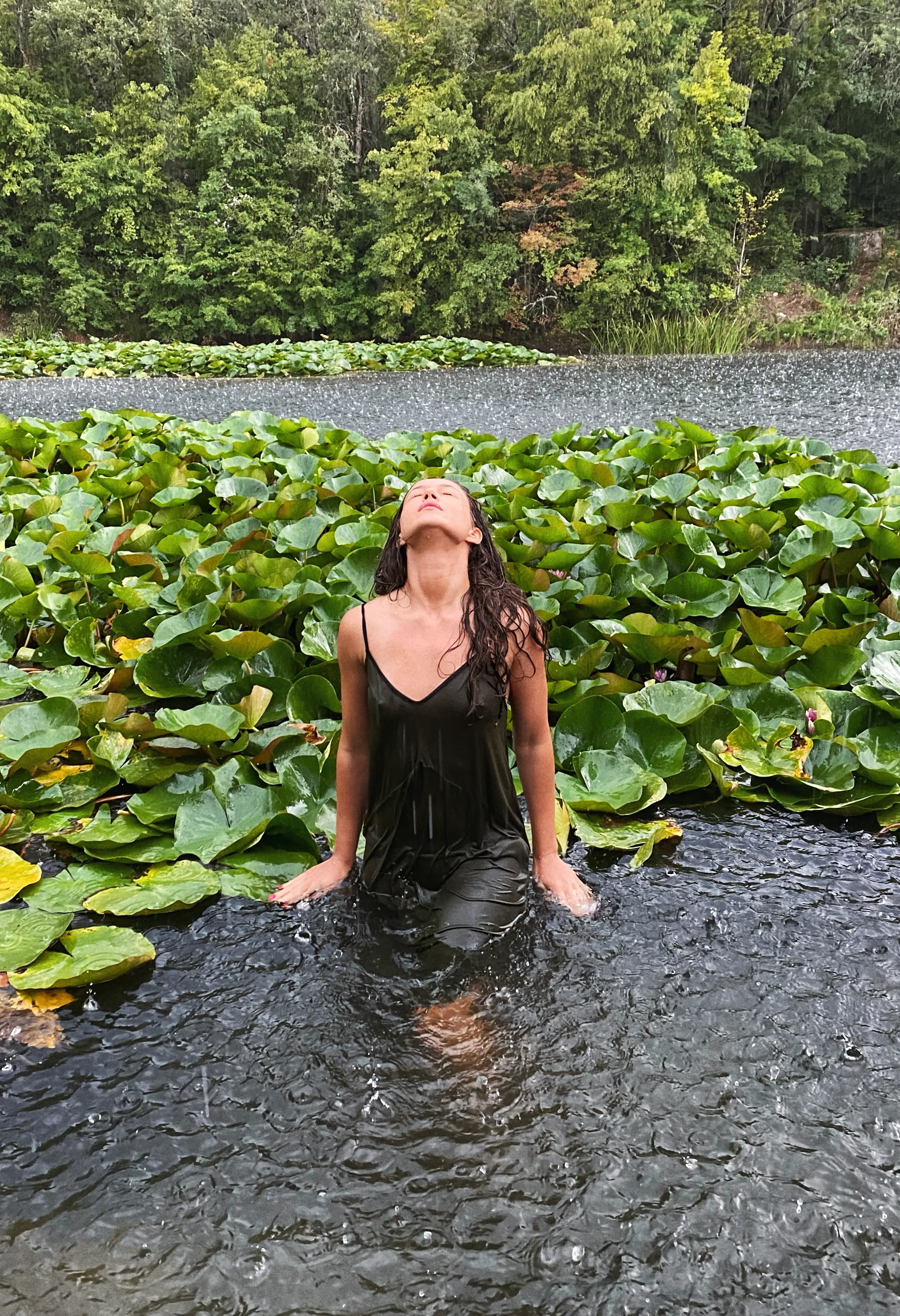 Лилии под дождем