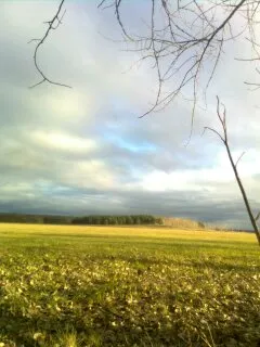 " Золотая осень "