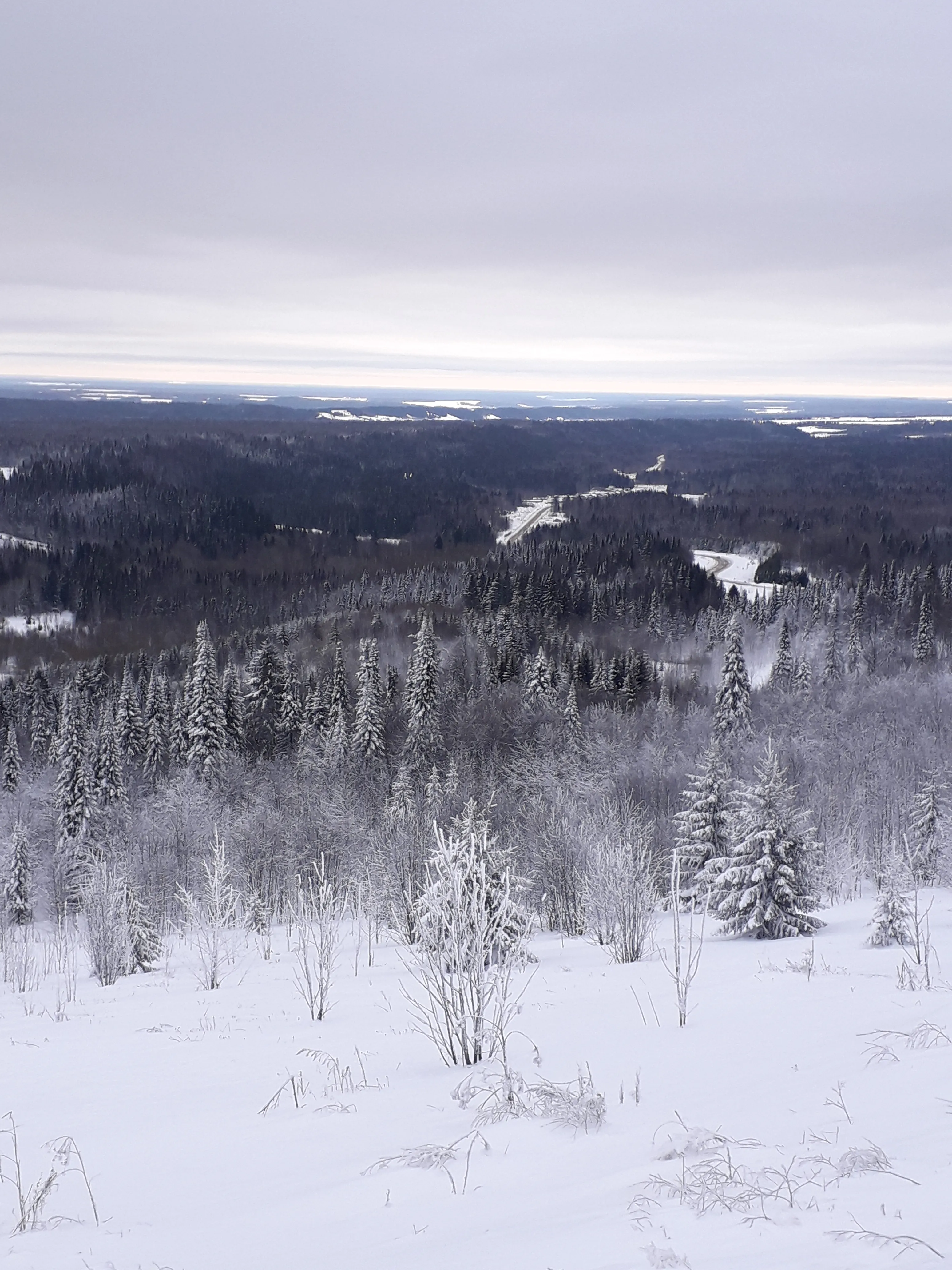Разукрасилась зима