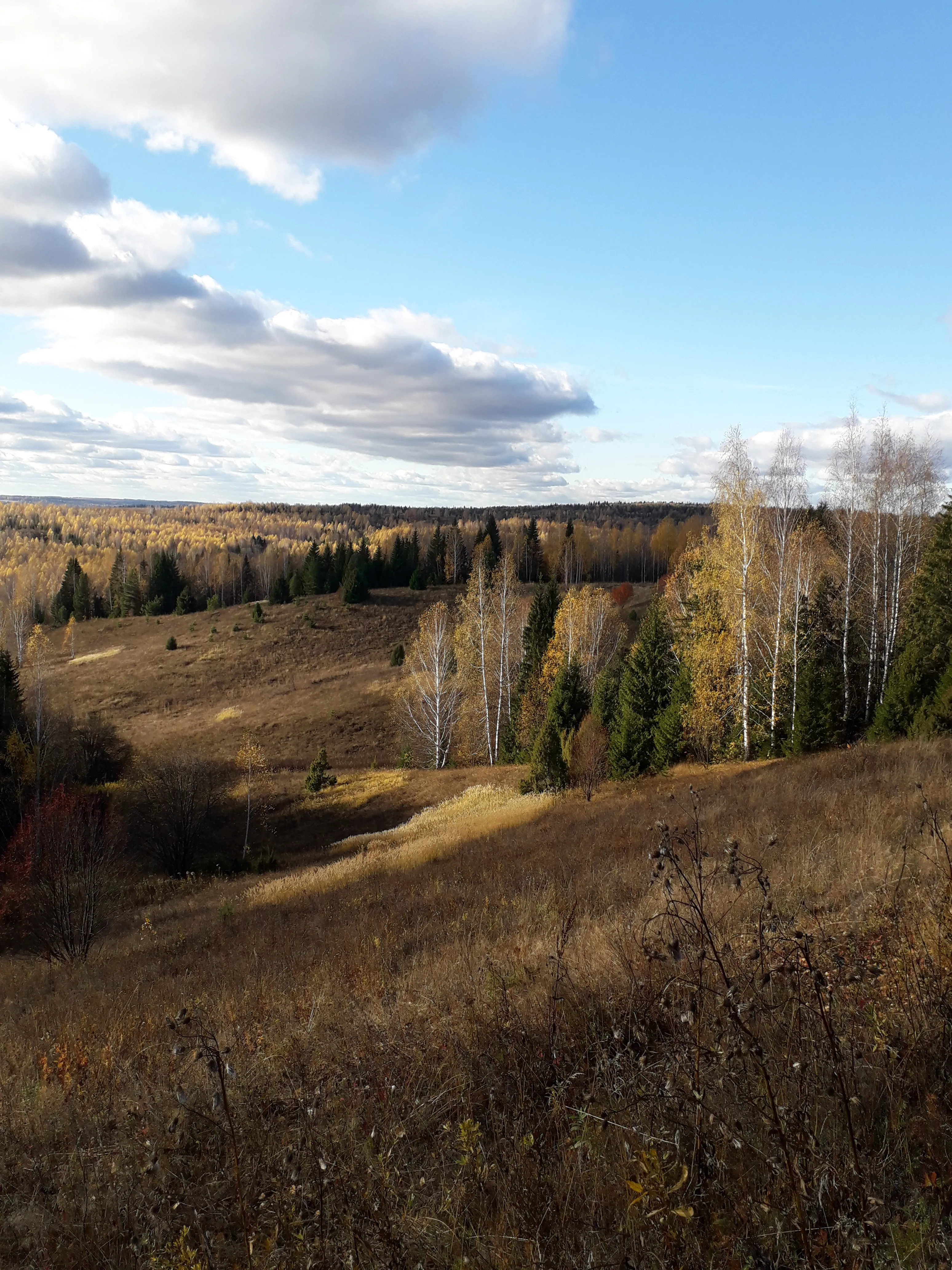 Осень золотая