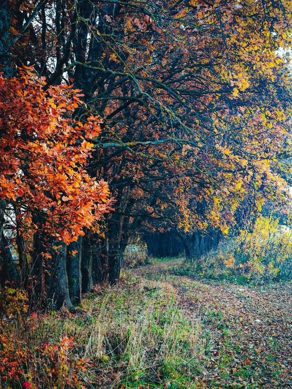Дорога, помнящая шаг пилигримов
