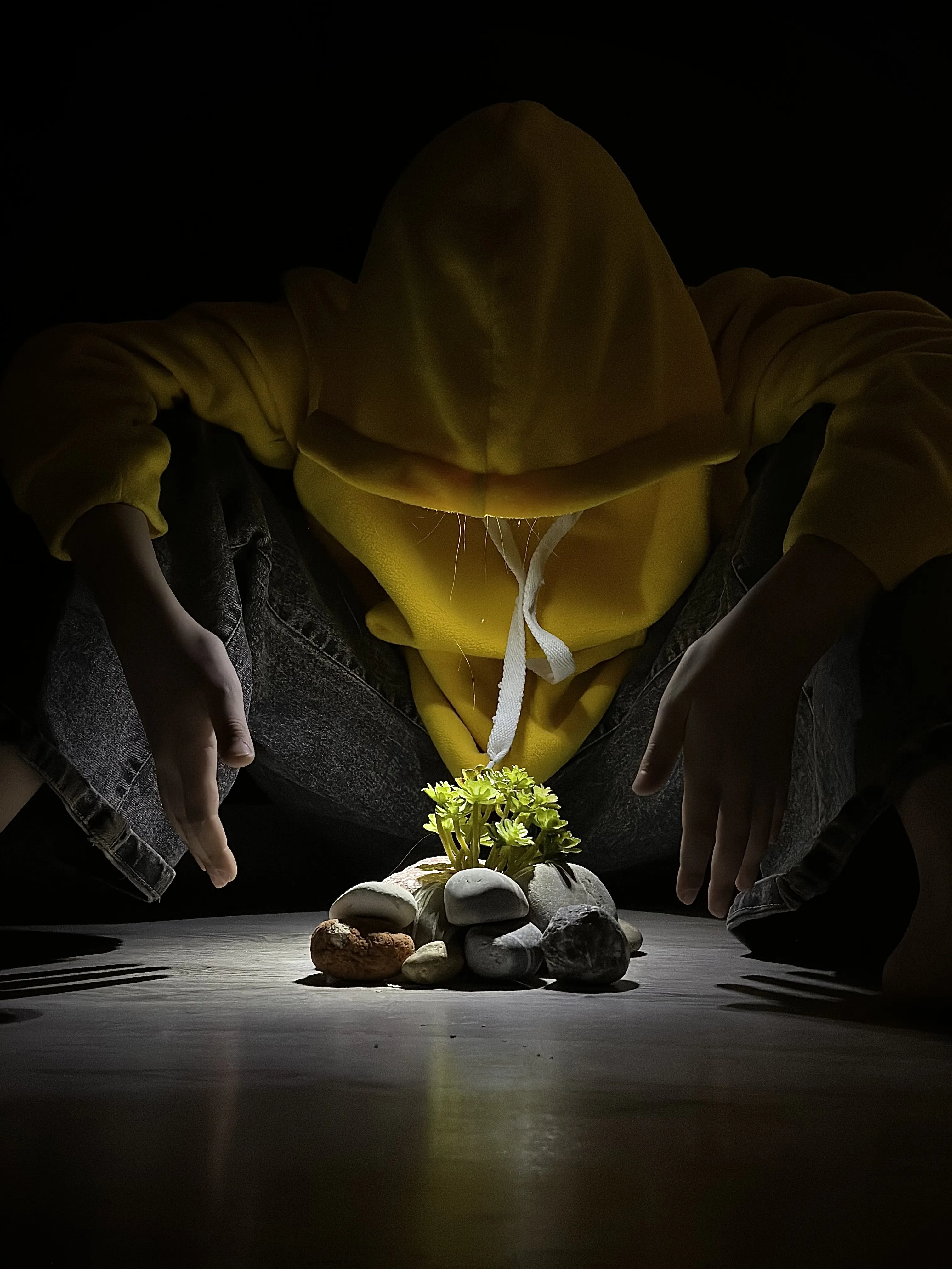 Свет надежды