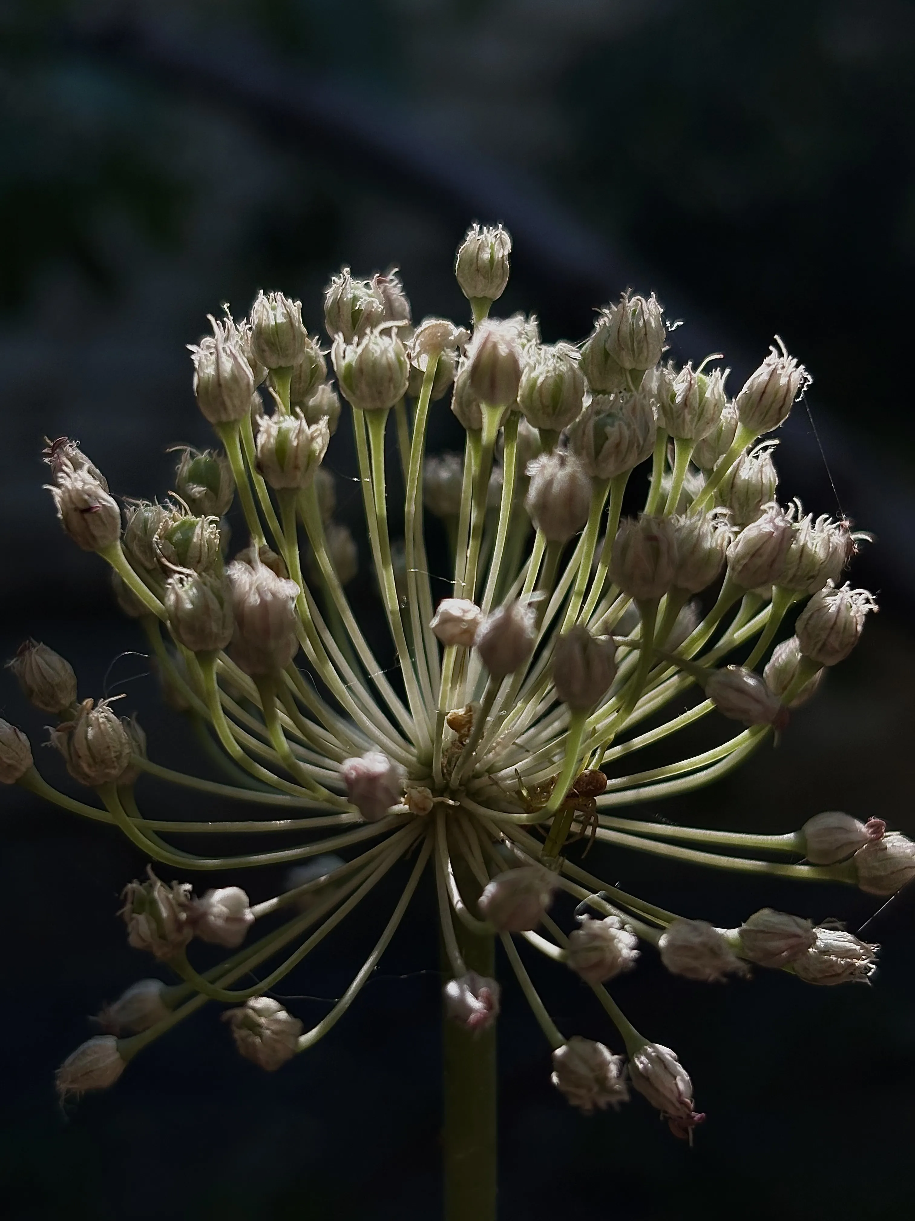 Взгляни глубже