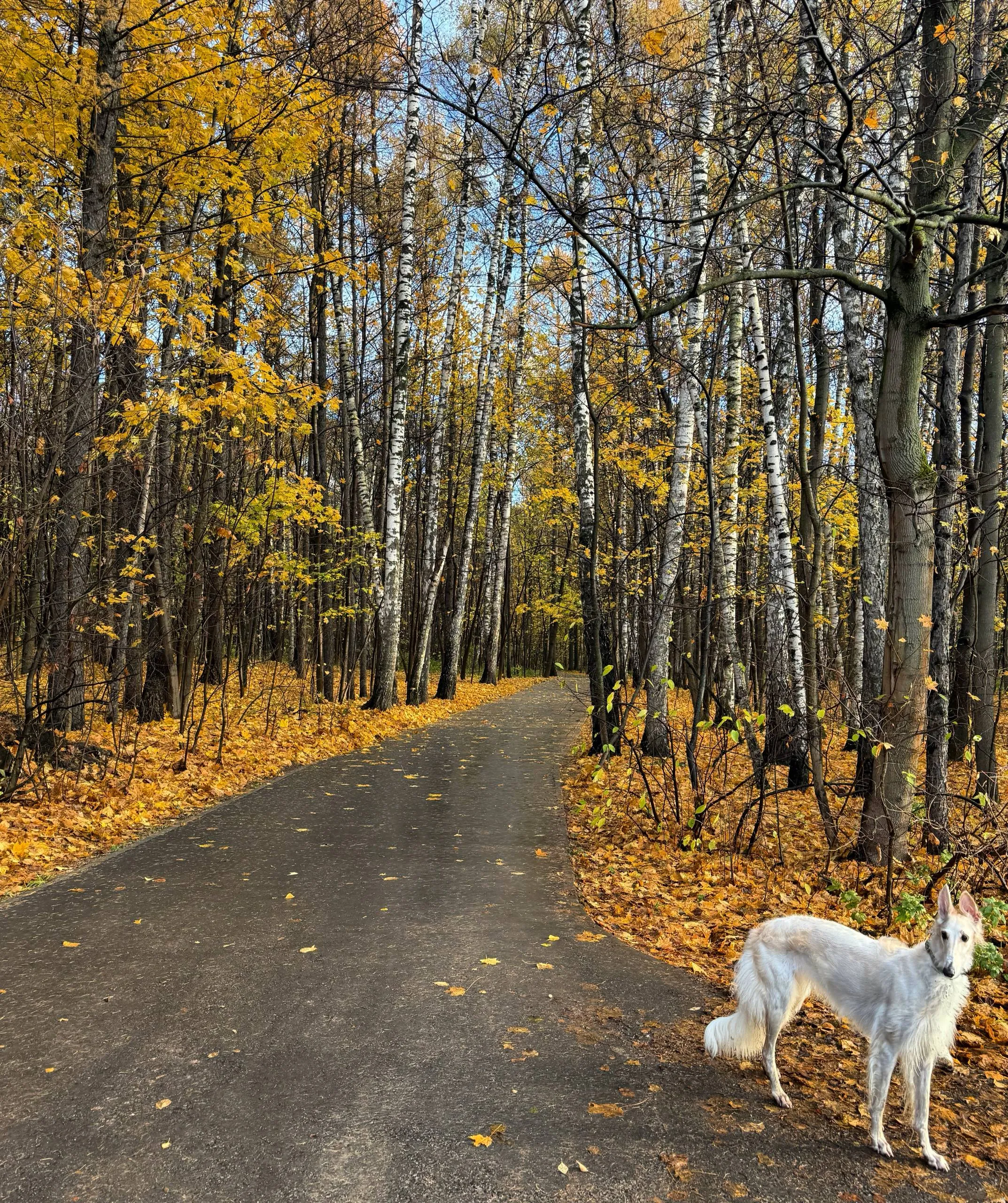 случайная встреча