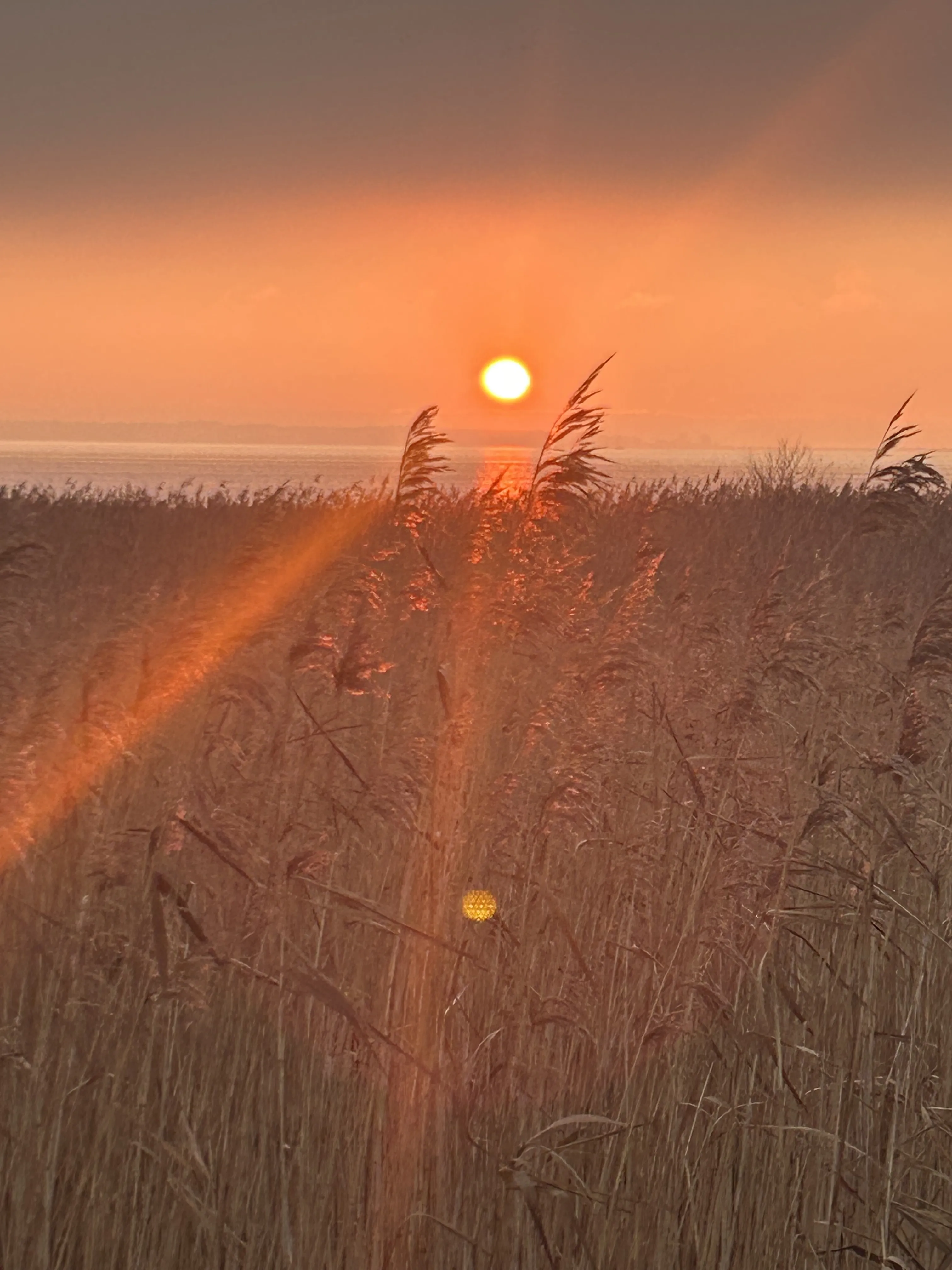 Закат на заливе
