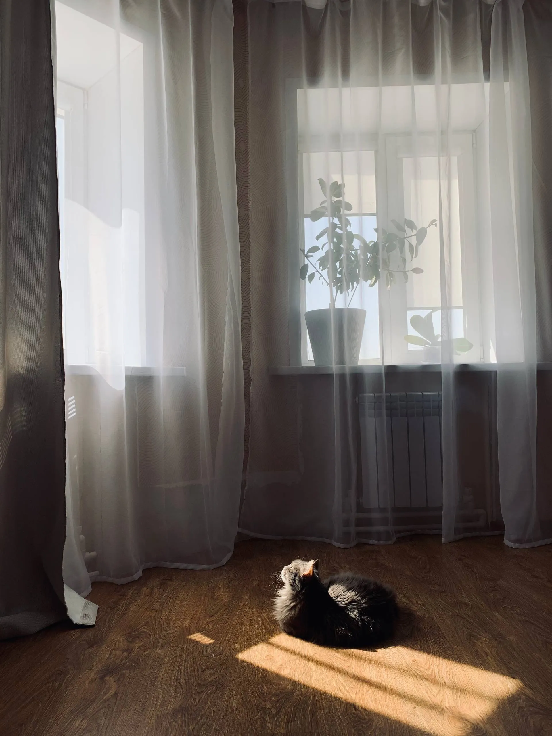 Хранитель солнечного света