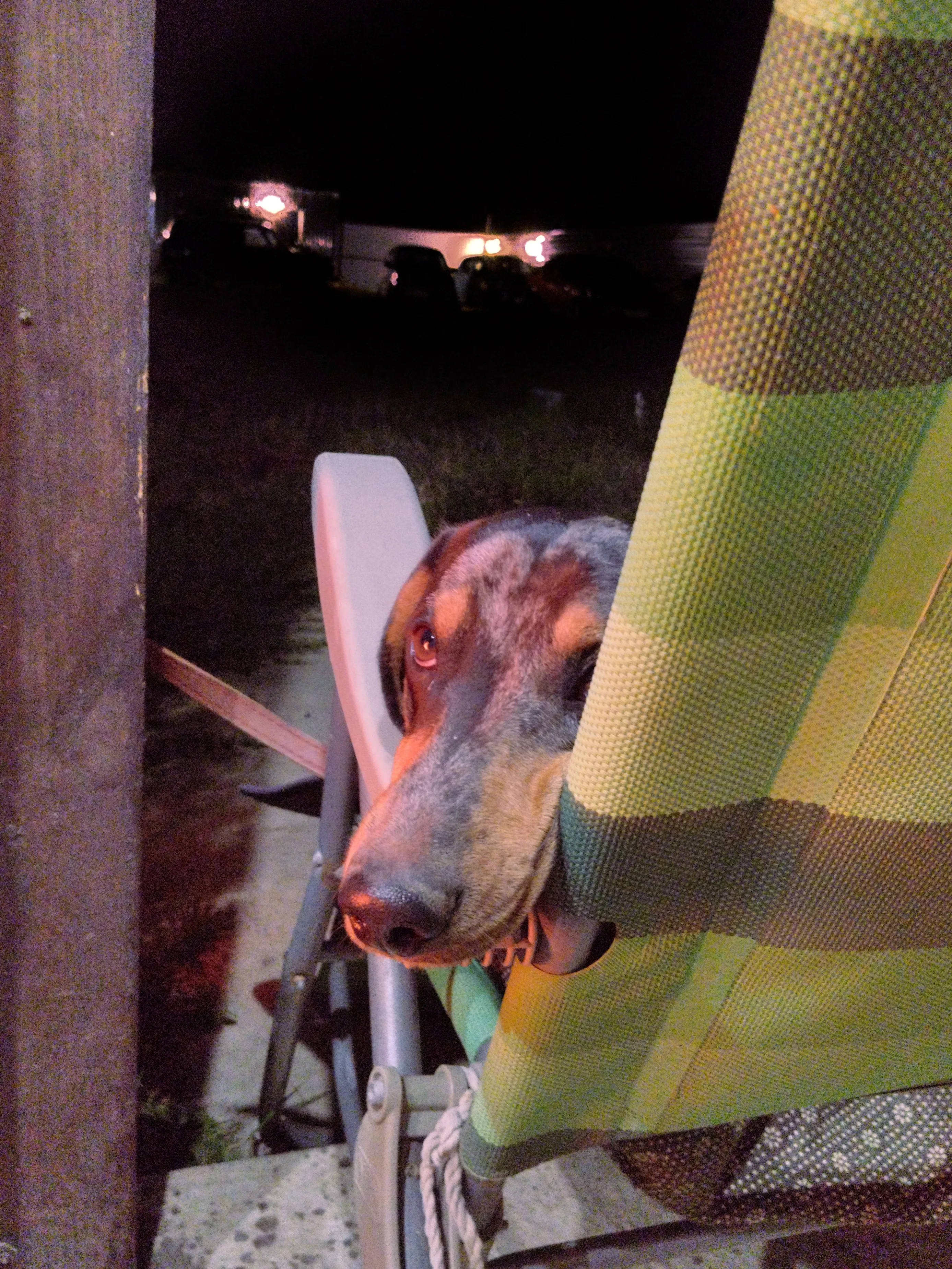 Счастливый вечер