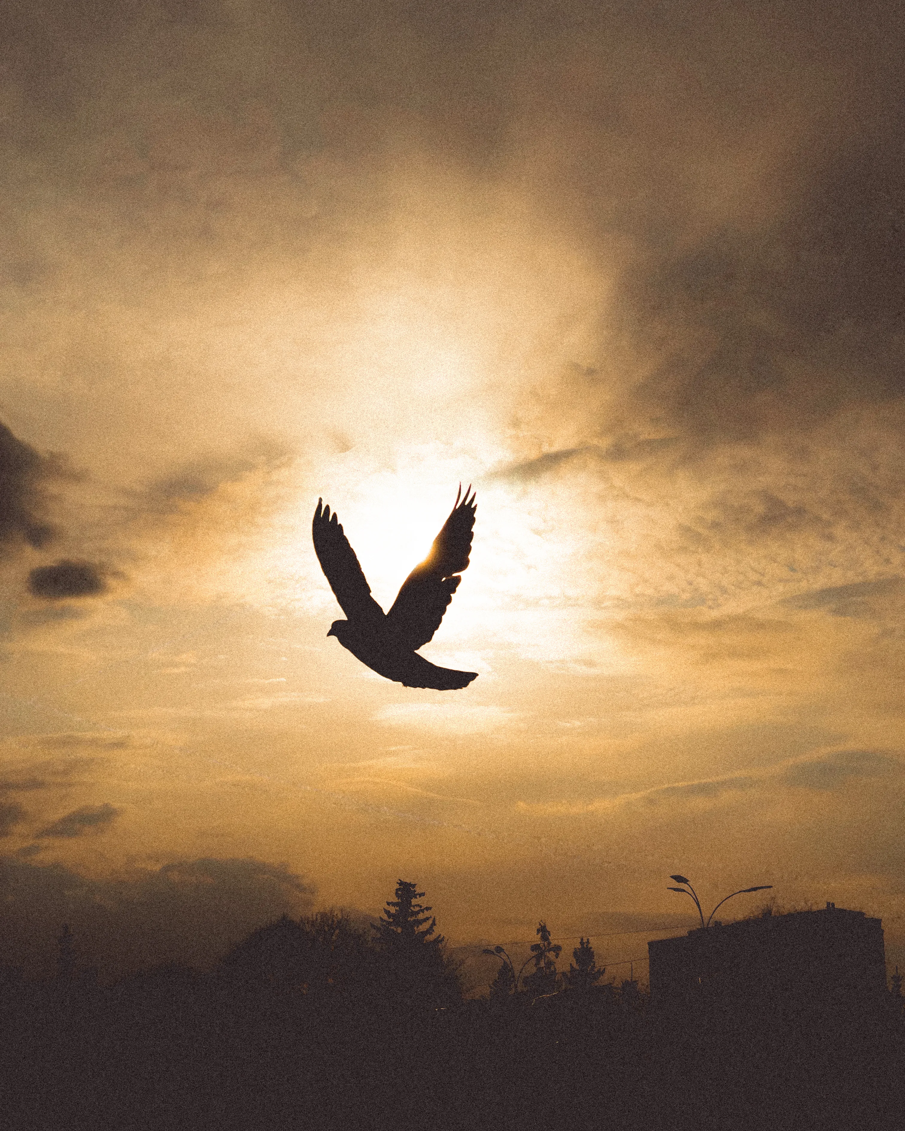 Мгновение свободы на закате