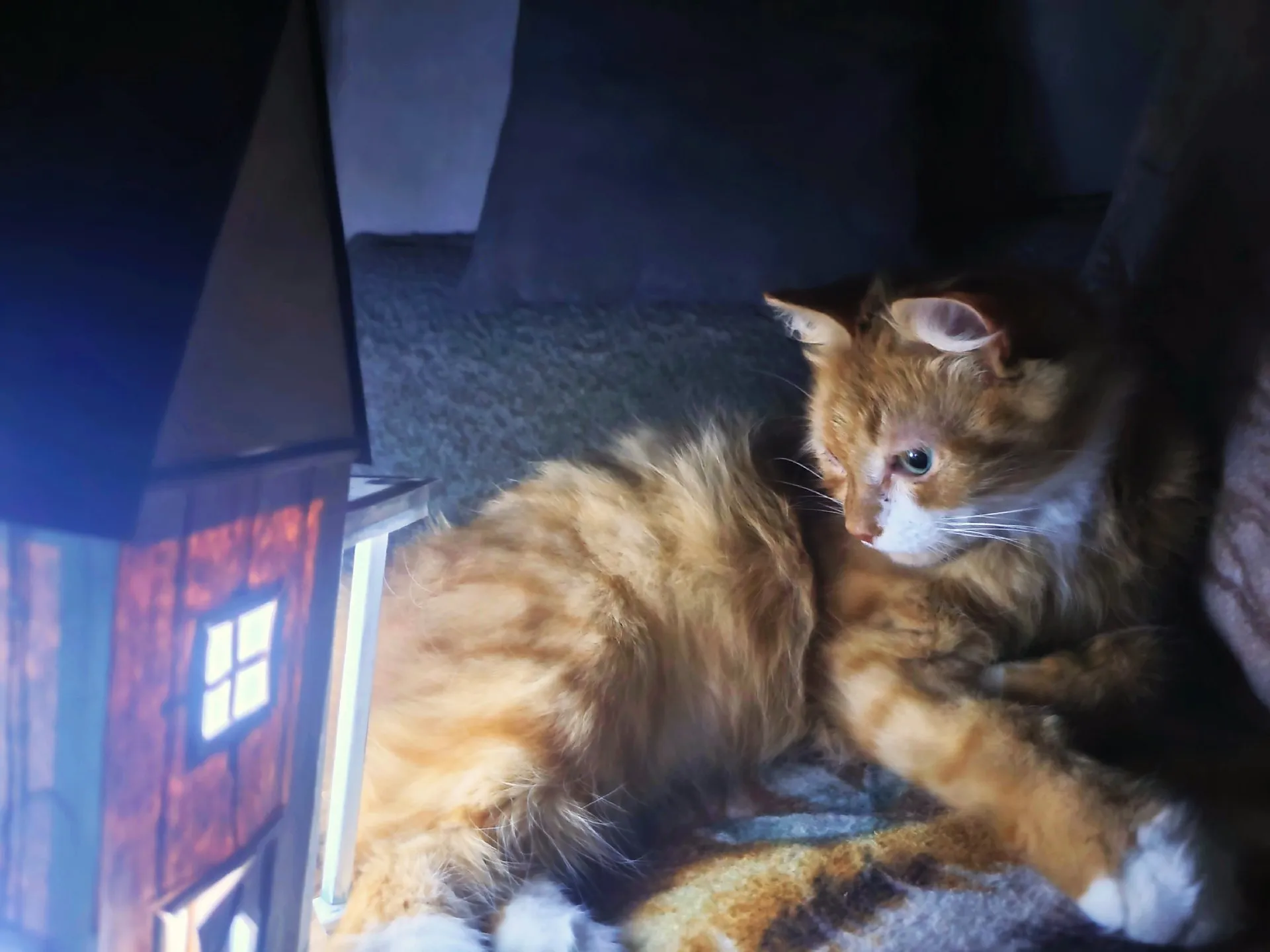 Уютный вечер