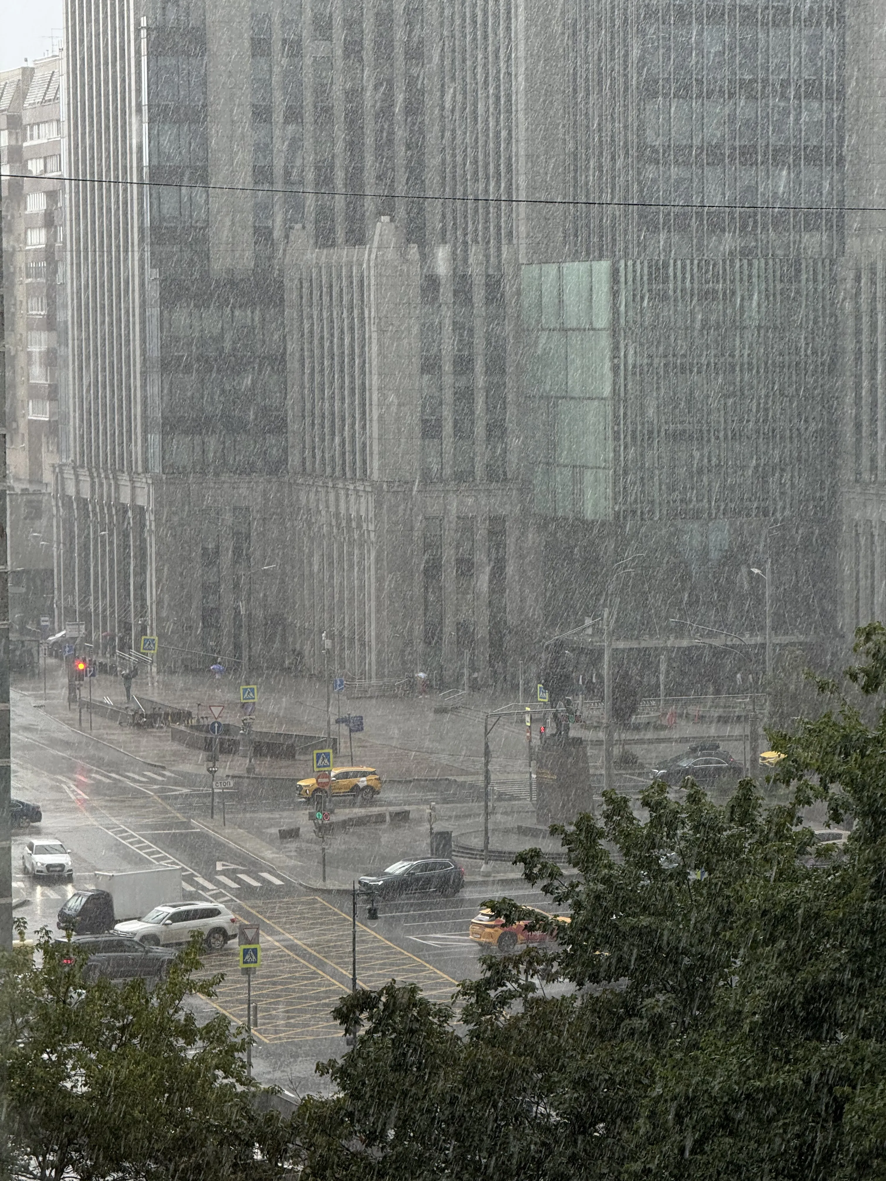 Сквозь ливень