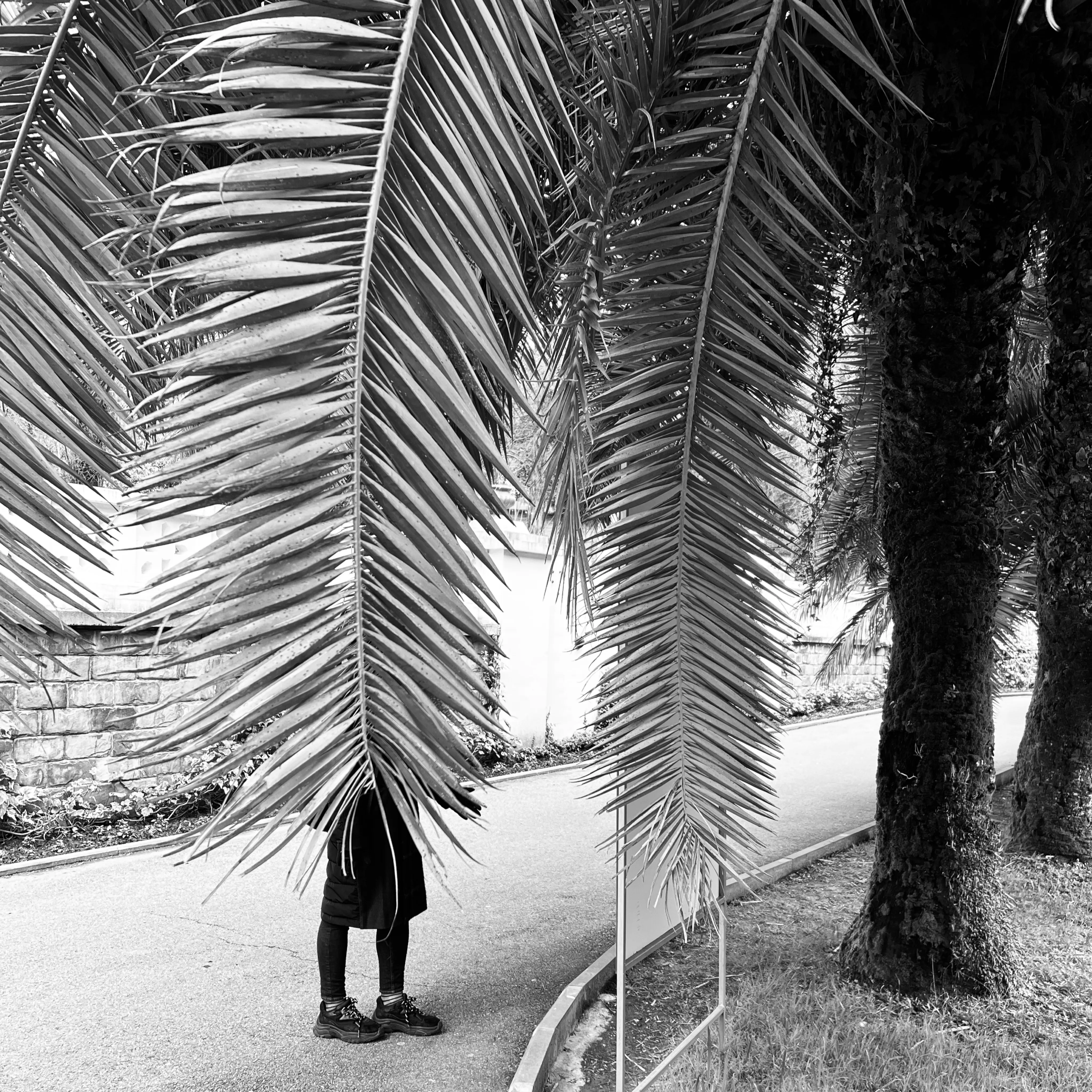 Части целого