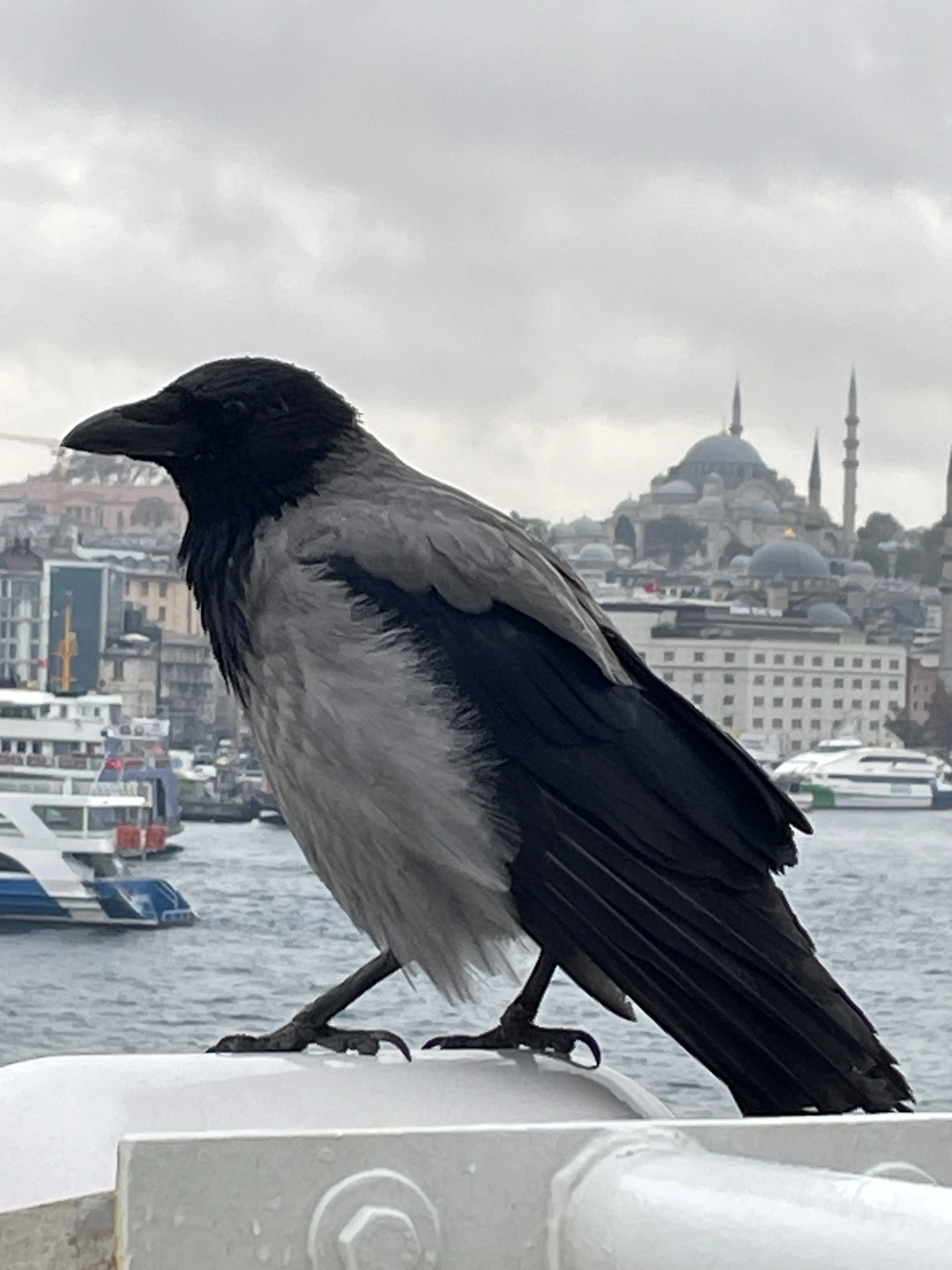 Знакомство