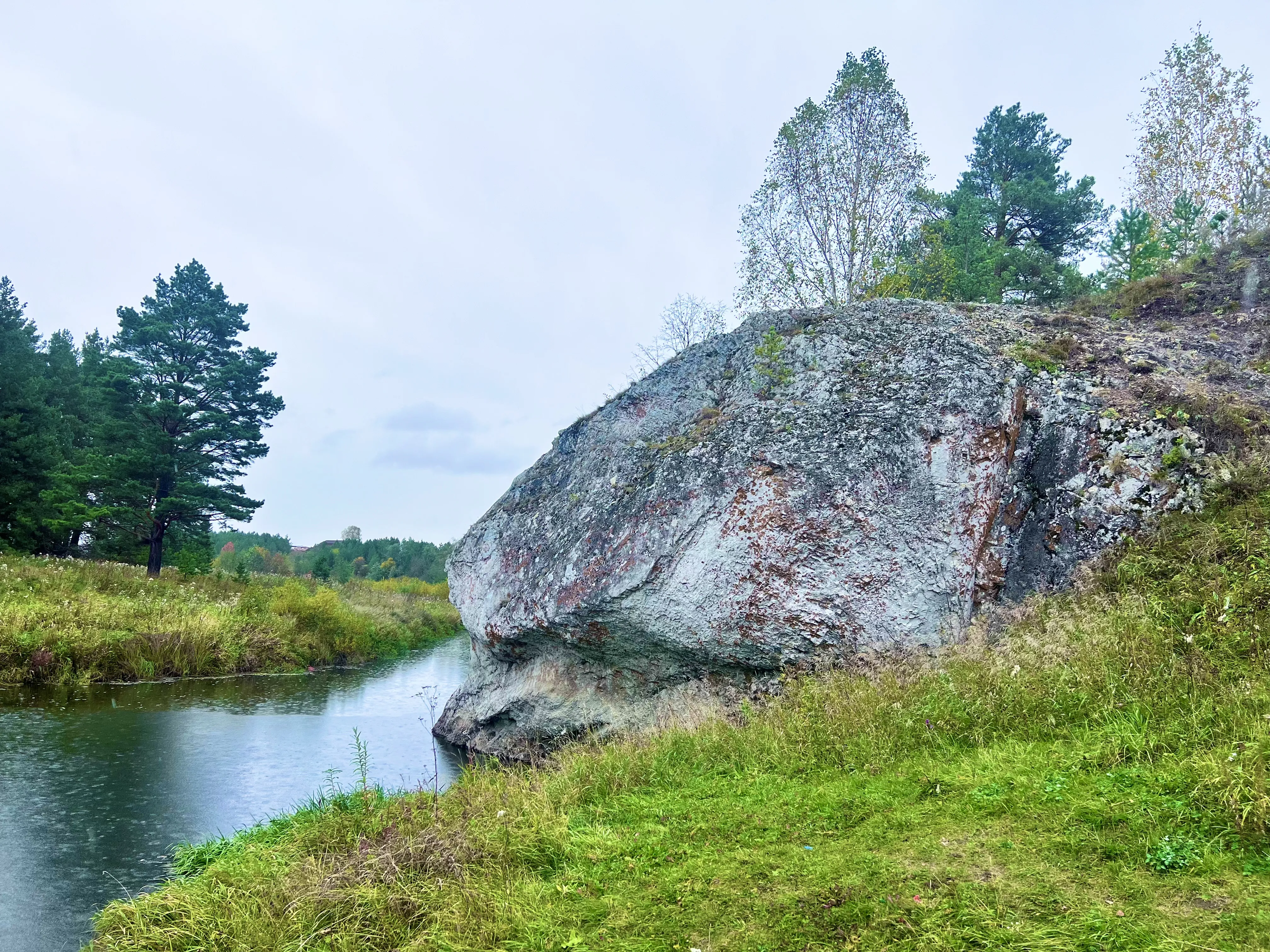 Ежик пьющий из ручья
