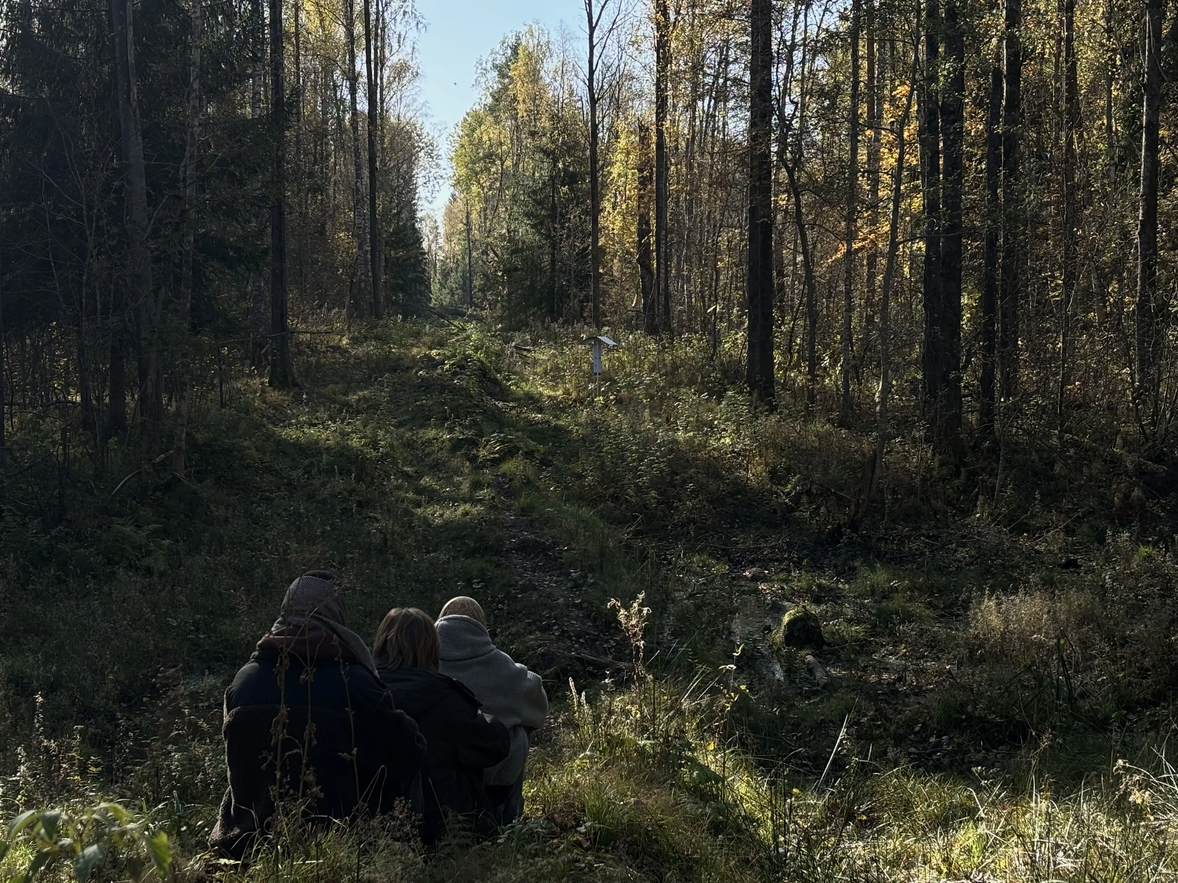 Кайфушники