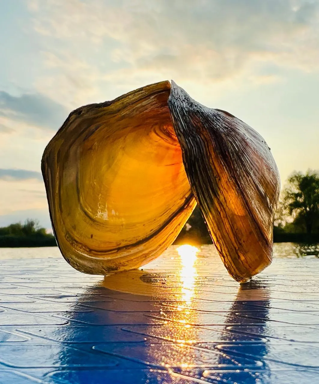 Янтарное сердце реки.