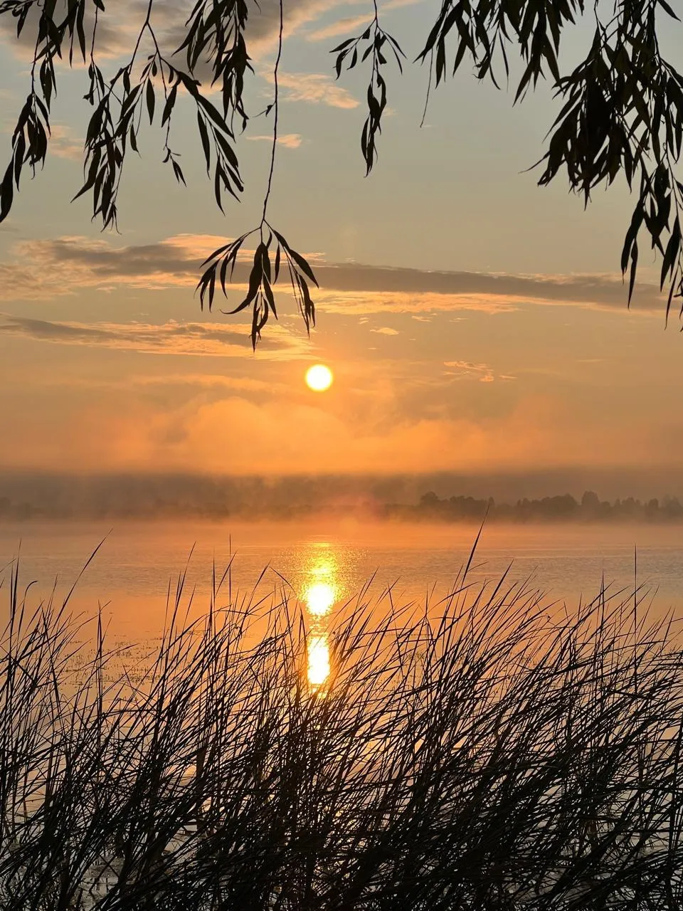 Первый глоток света