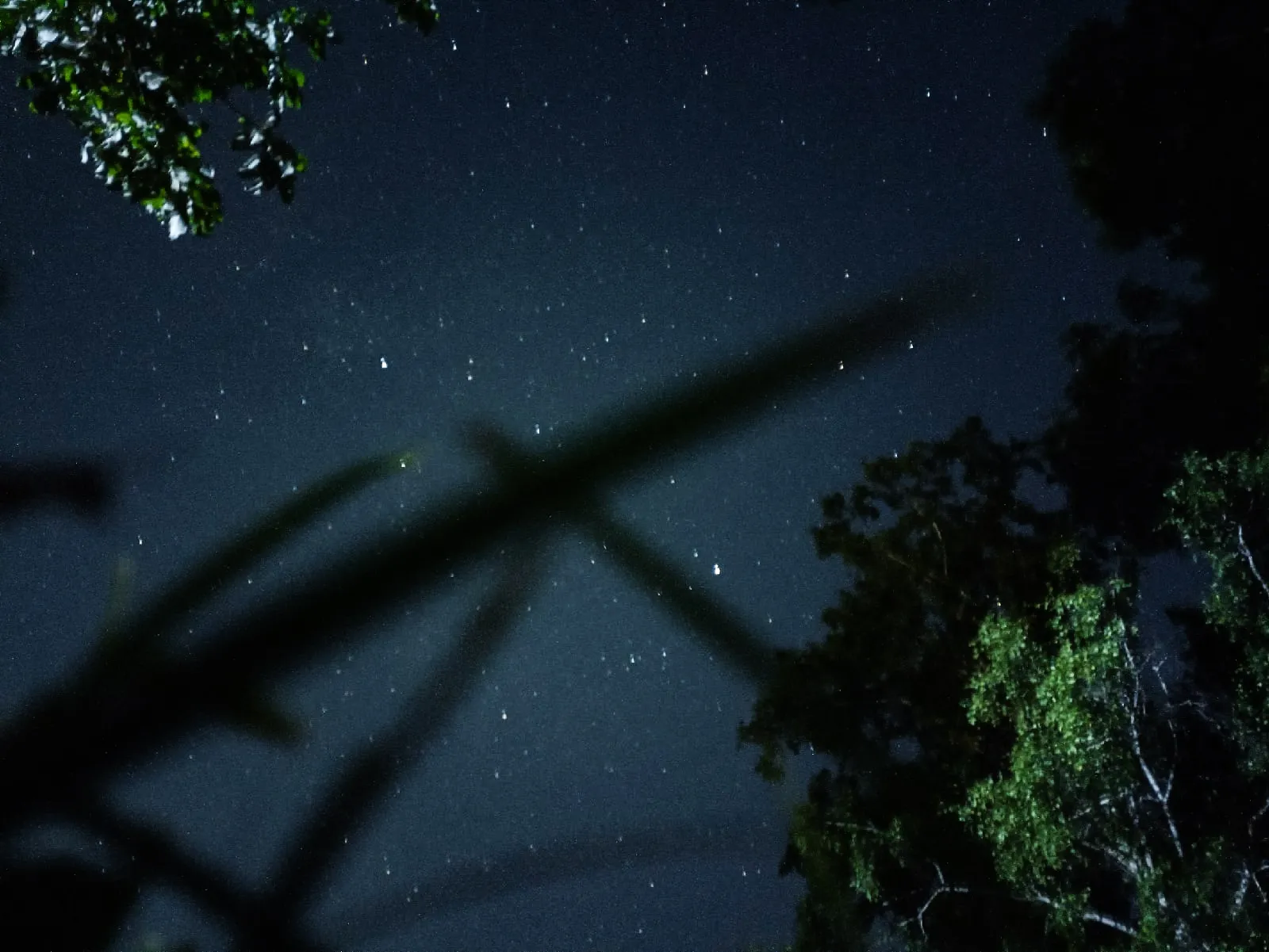 Глазами букашки