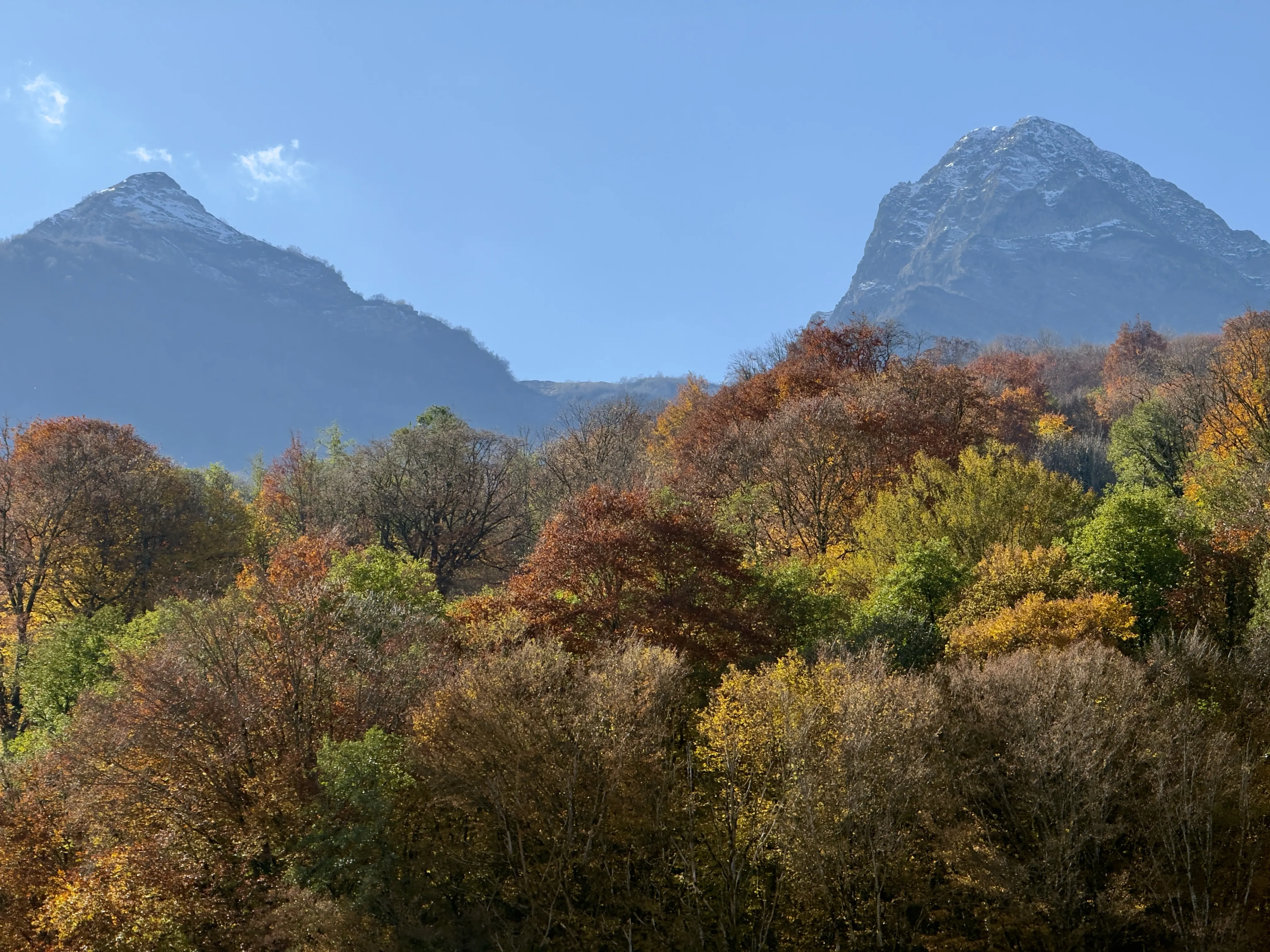 Буйство красок